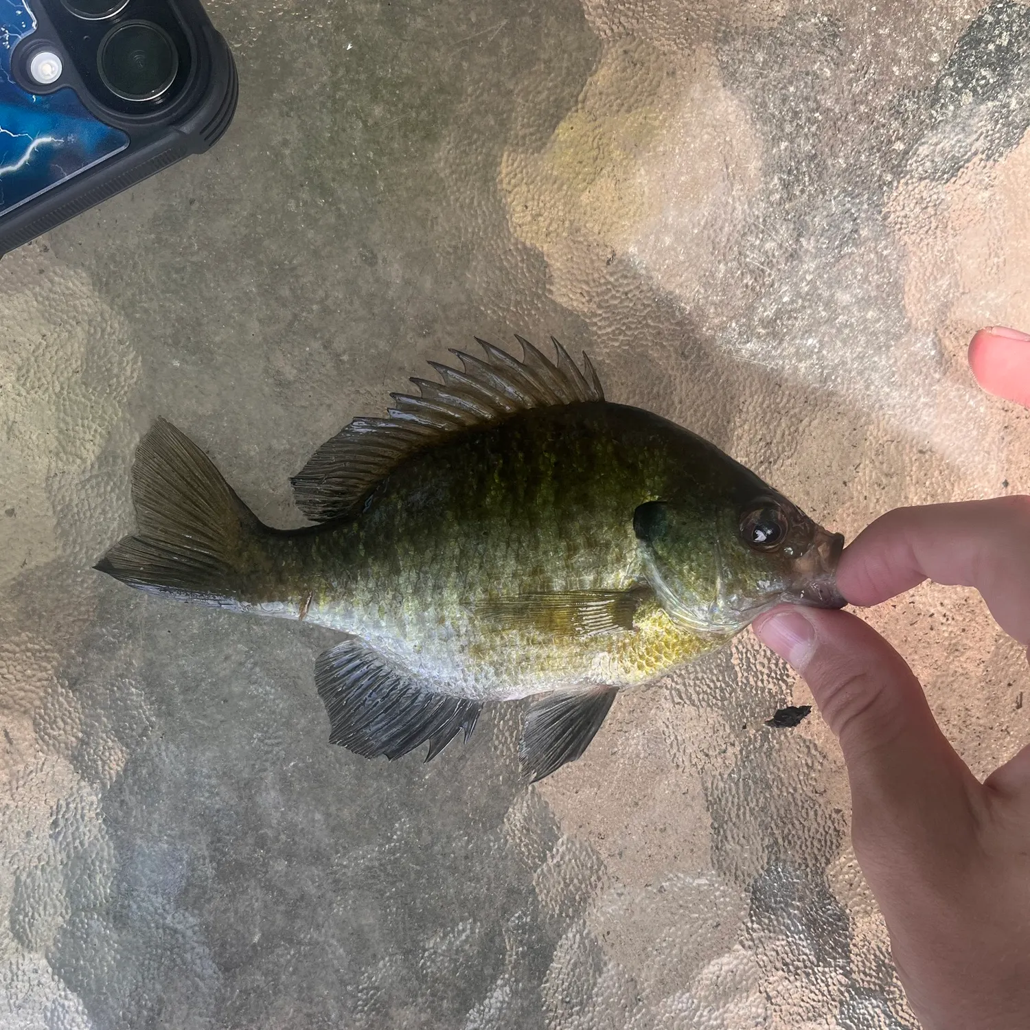 catch