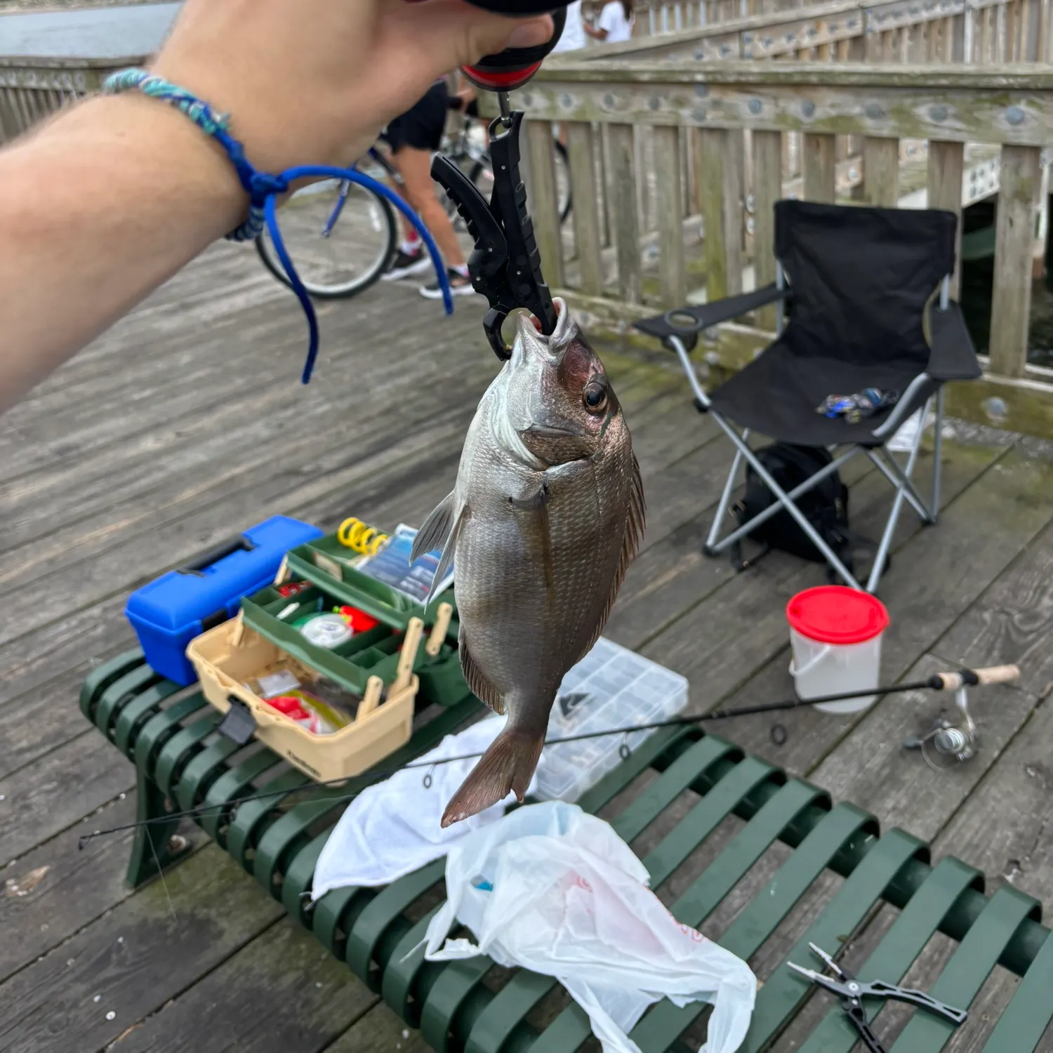 recently logged catches