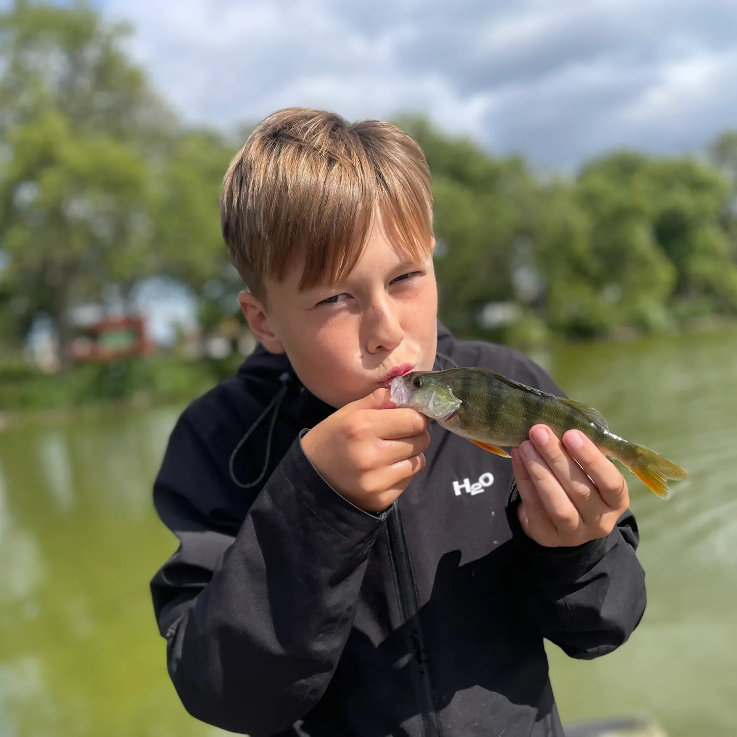 European perch caught on Fishbrain