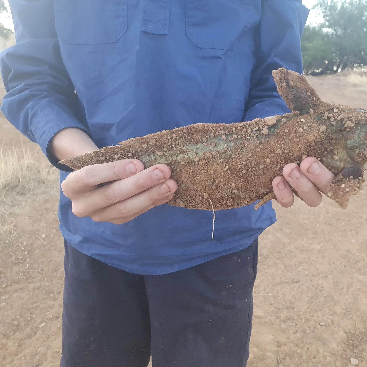 The most recent Dewfish catches on Fishbrain