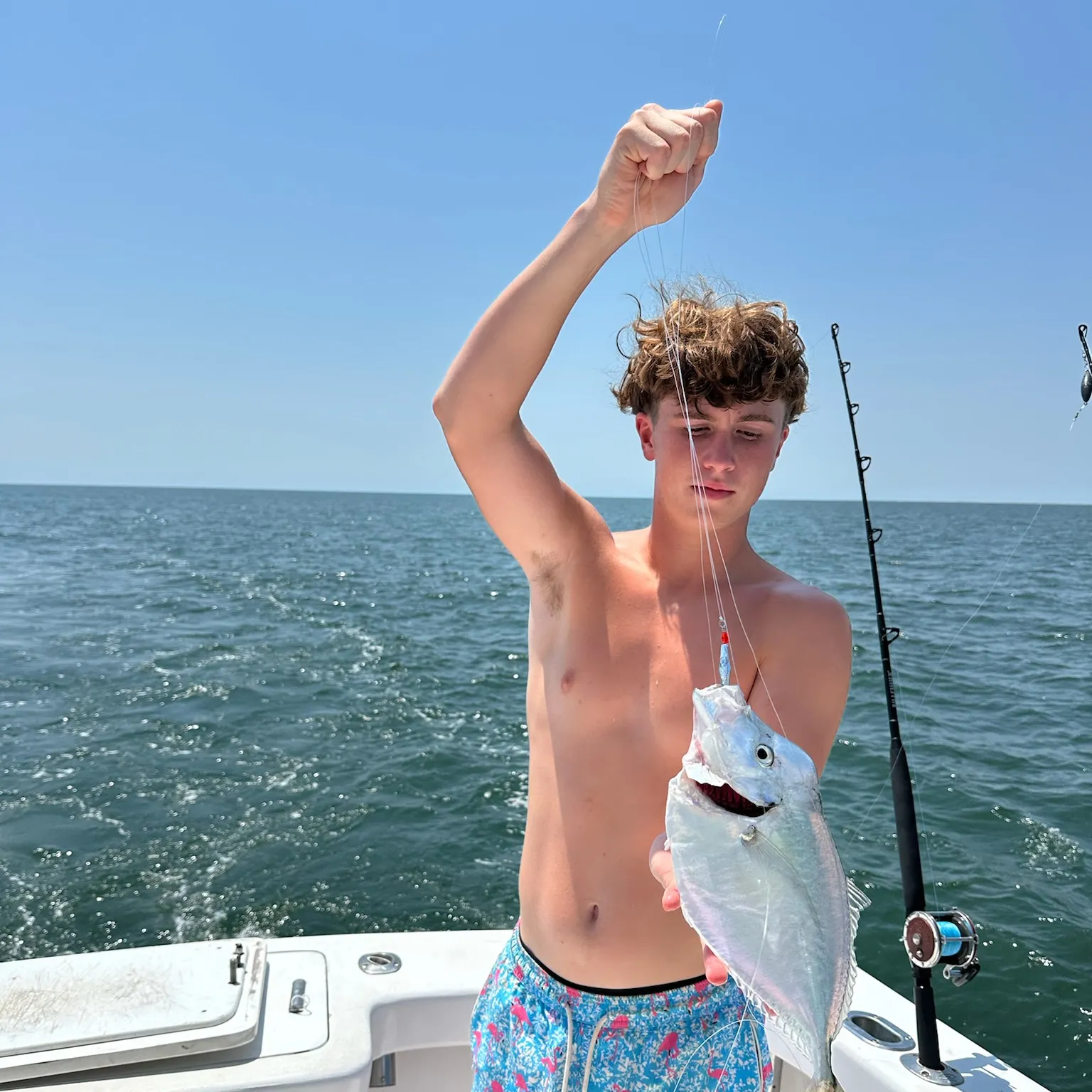 The most recent Lookdown catches on Fishbrain