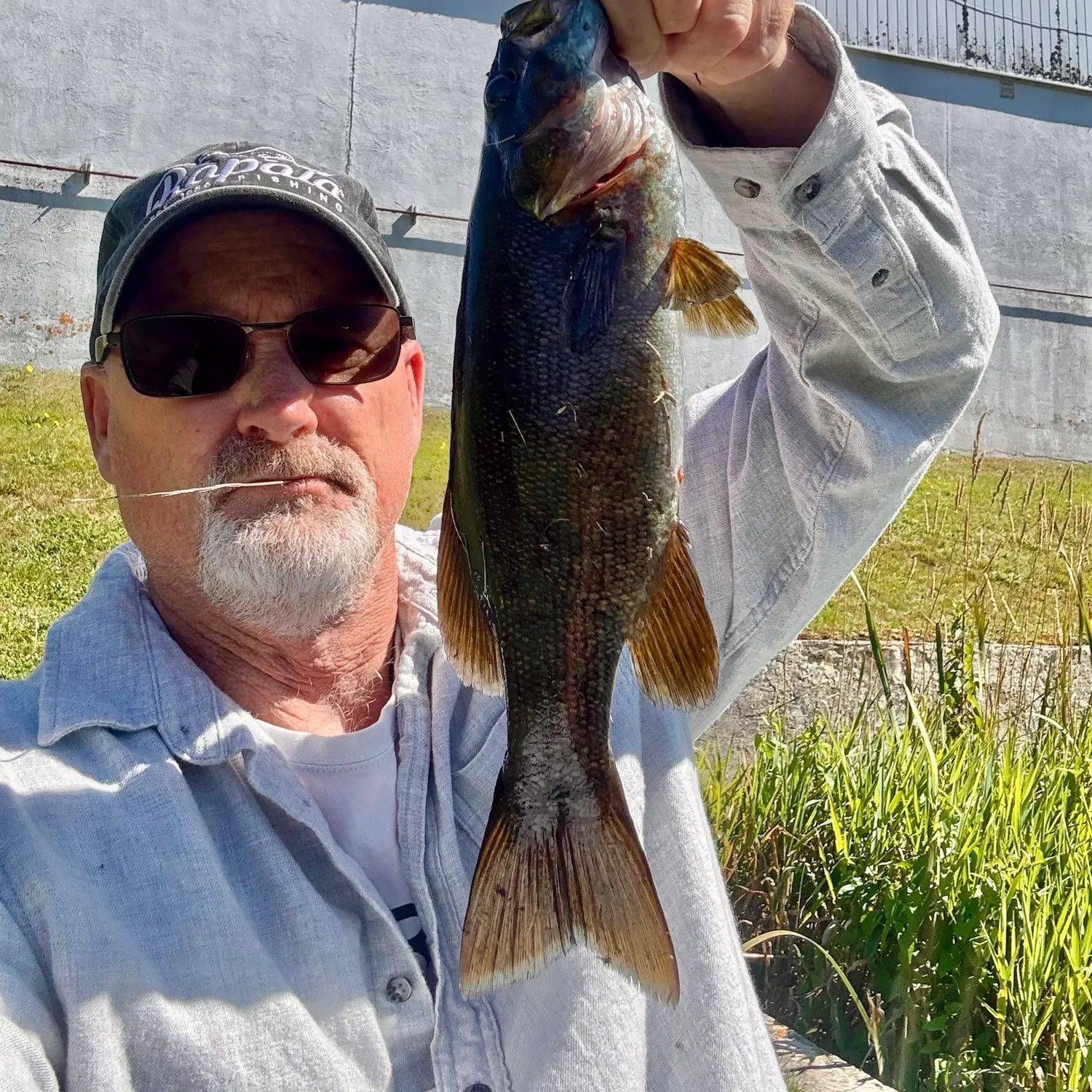 Smallmouth bass caught on Fishbrain