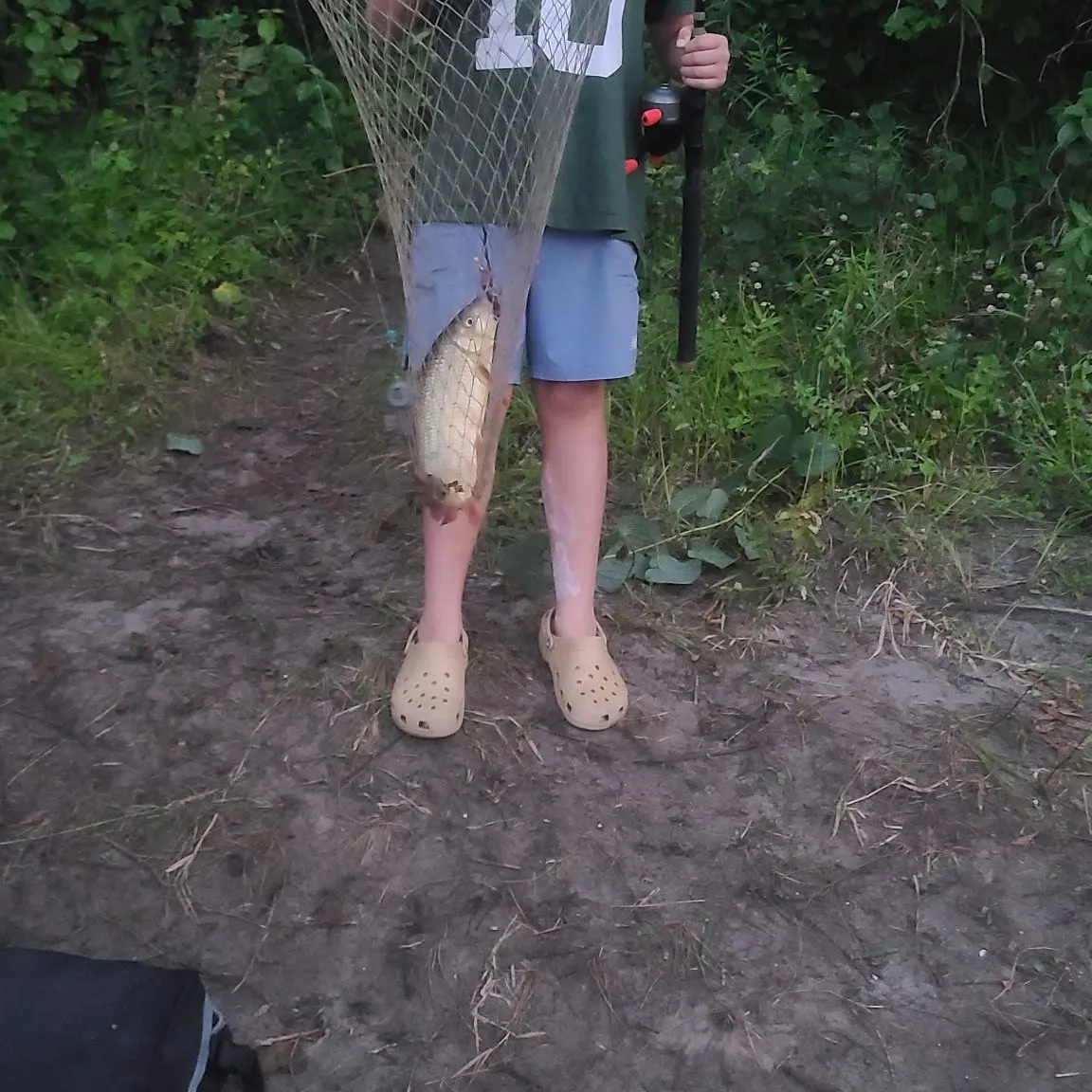 The most recent Greater redhorse catches on Fishbrain