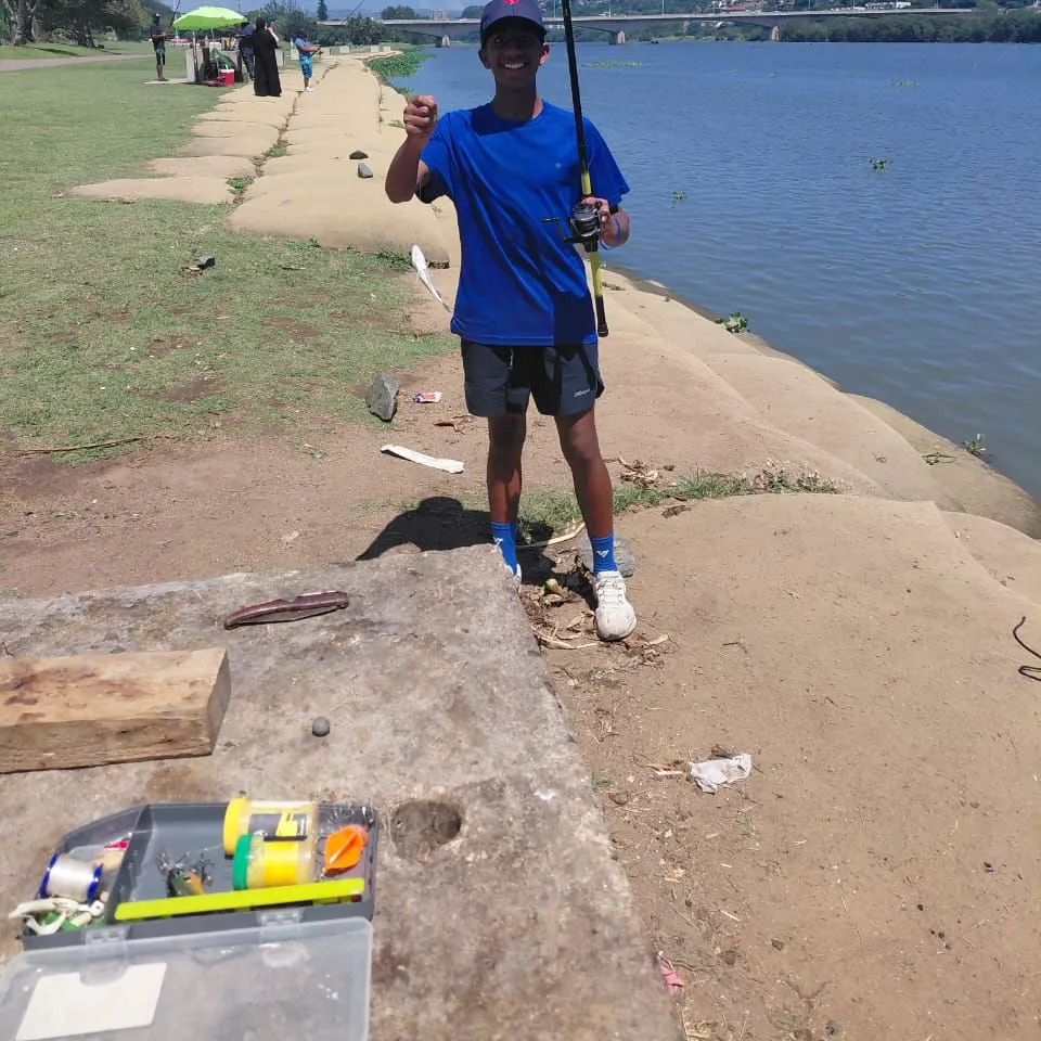 The most recent Silver grunter catches on Fishbrain