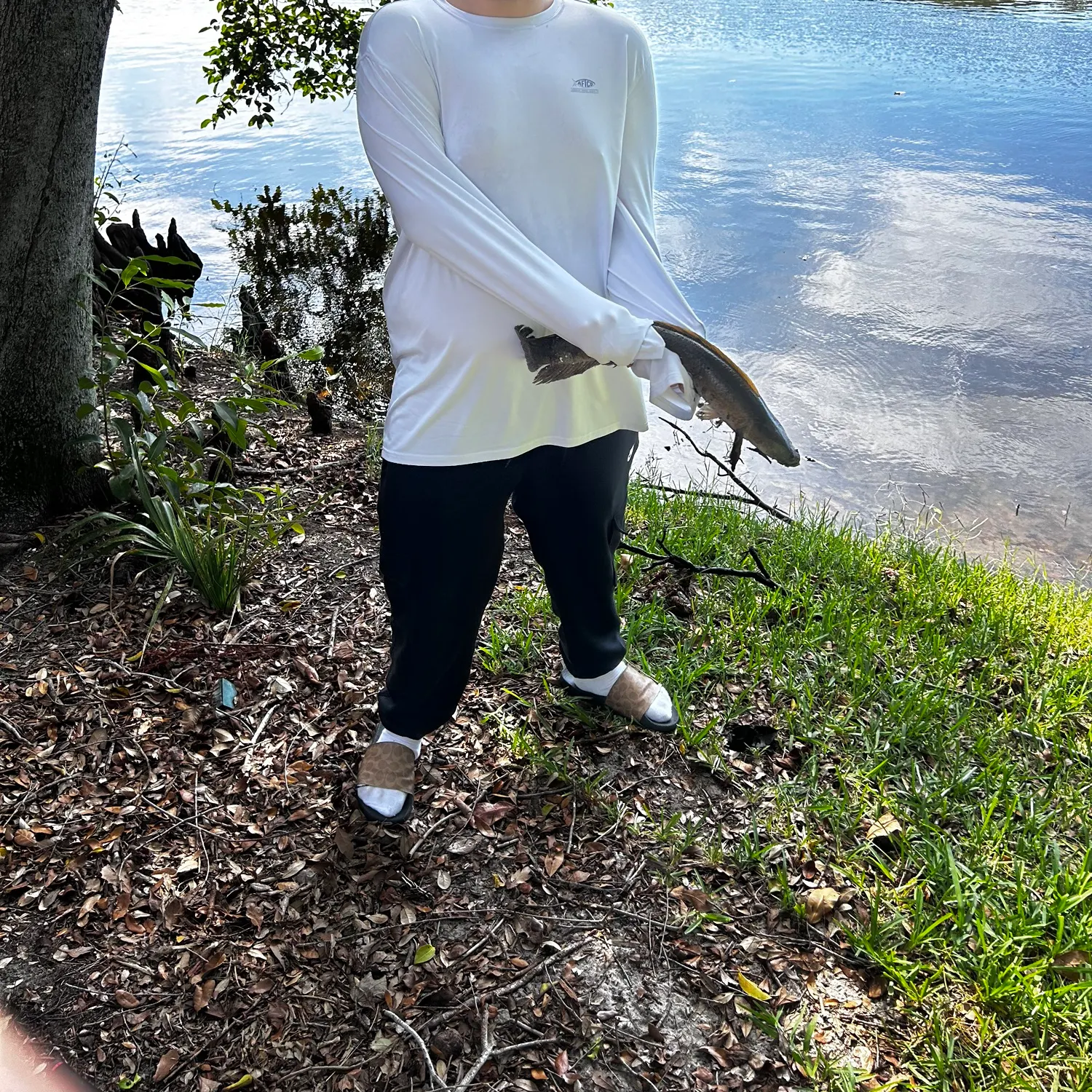 The most recent Small snakehead catches on Fishbrain