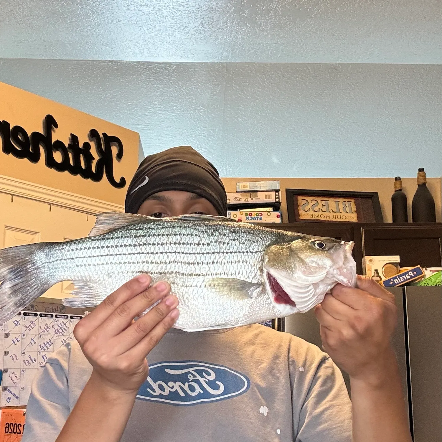 Wiper caught on Fishbrain
