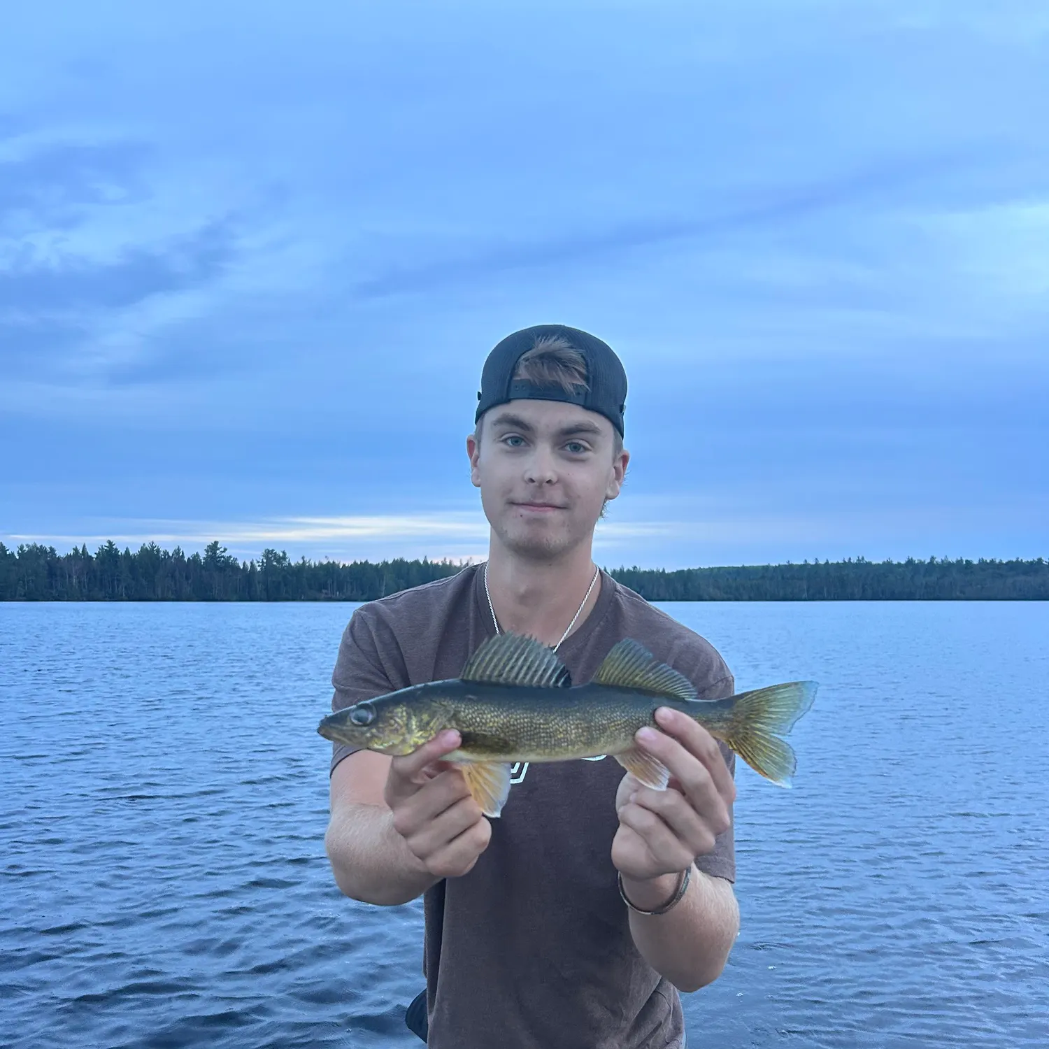 Walleye caught on Fishbrain