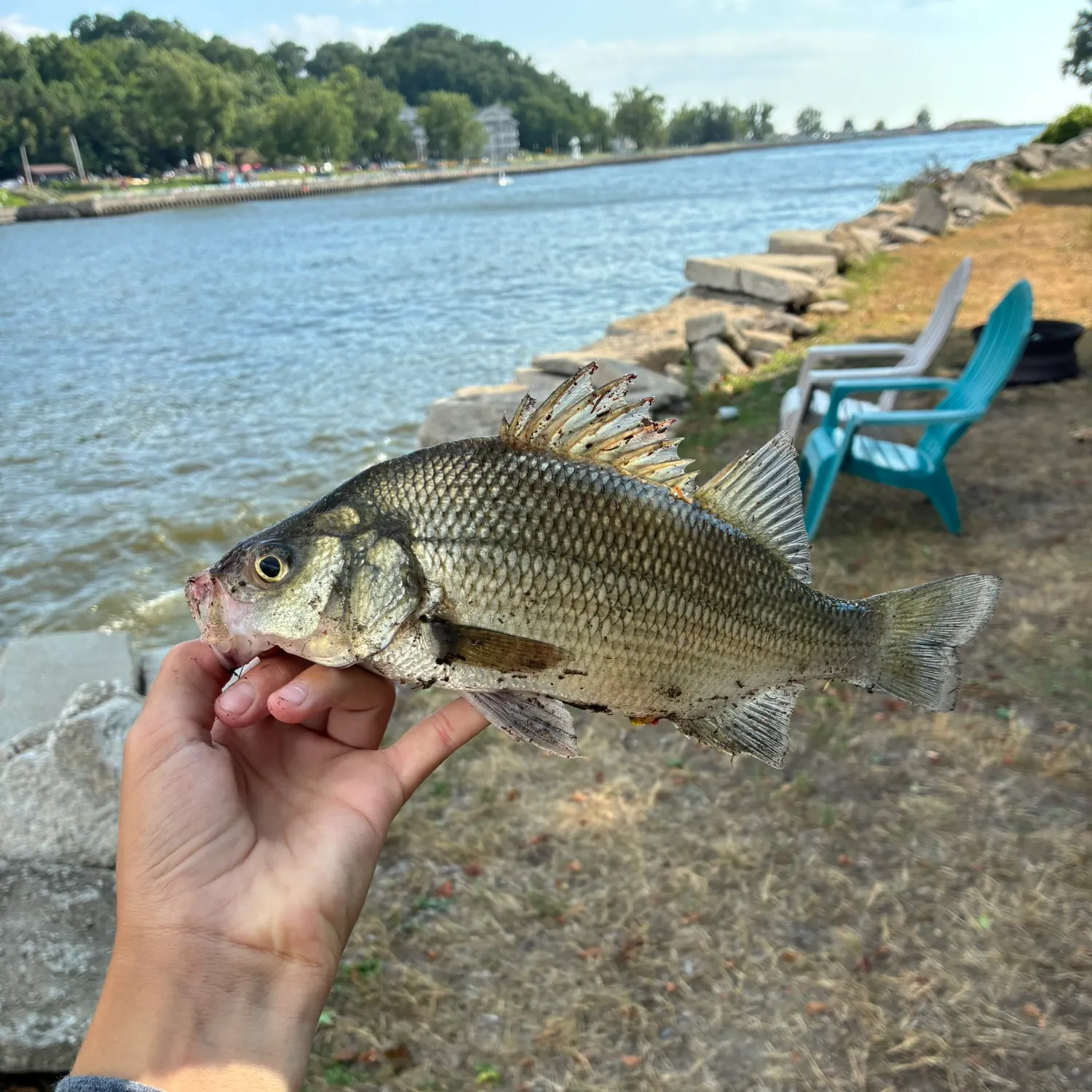 catch