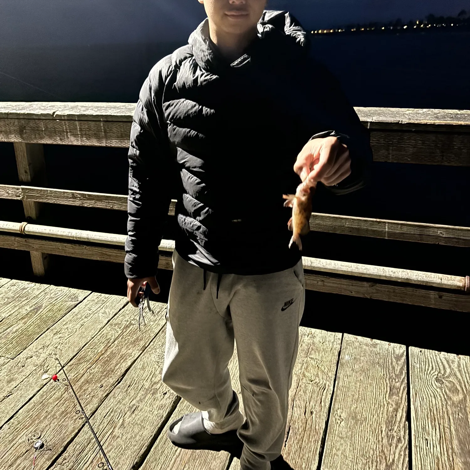 The most recent Copper rockfish catches on Fishbrain