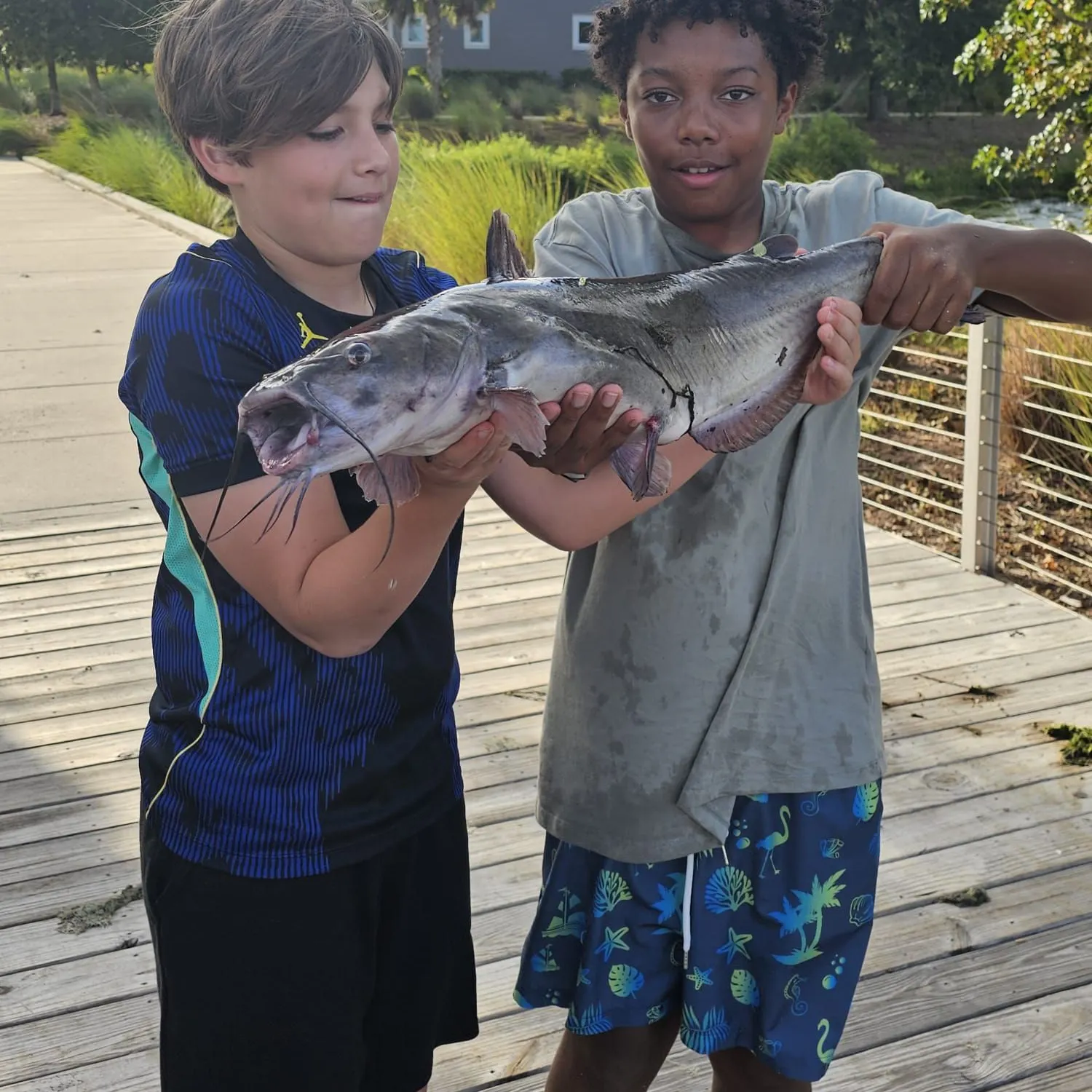 Channel catfish caught on Fishbrain