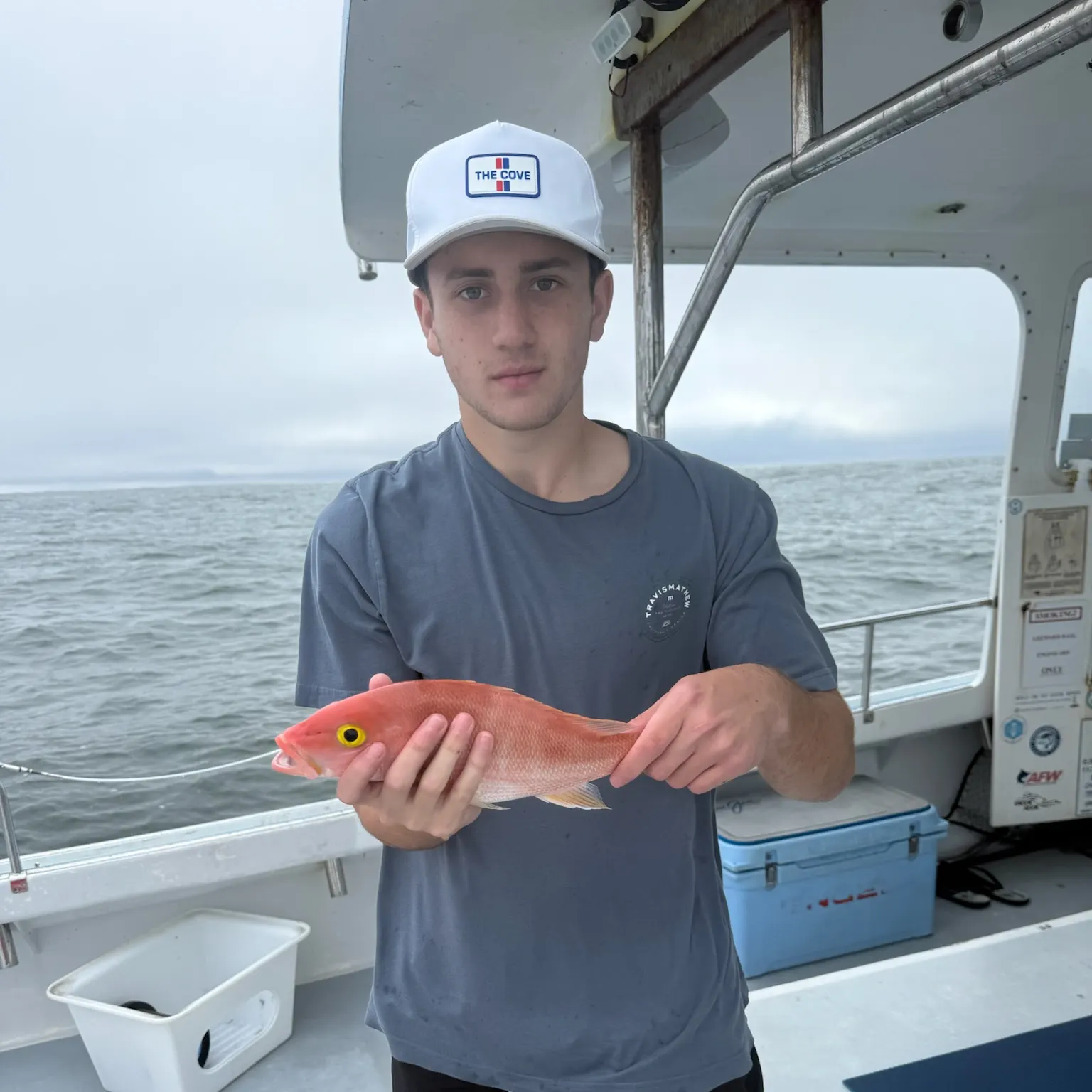 The most recent Silk snapper catches on Fishbrain
