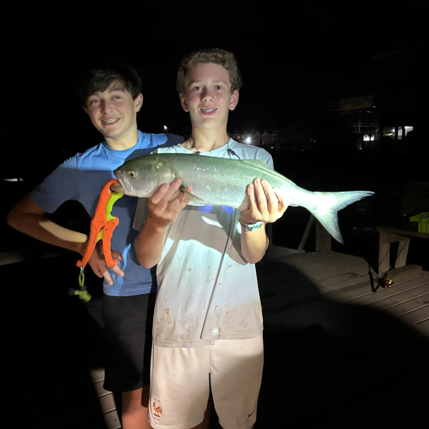 Bluefish caught on Fishbrain