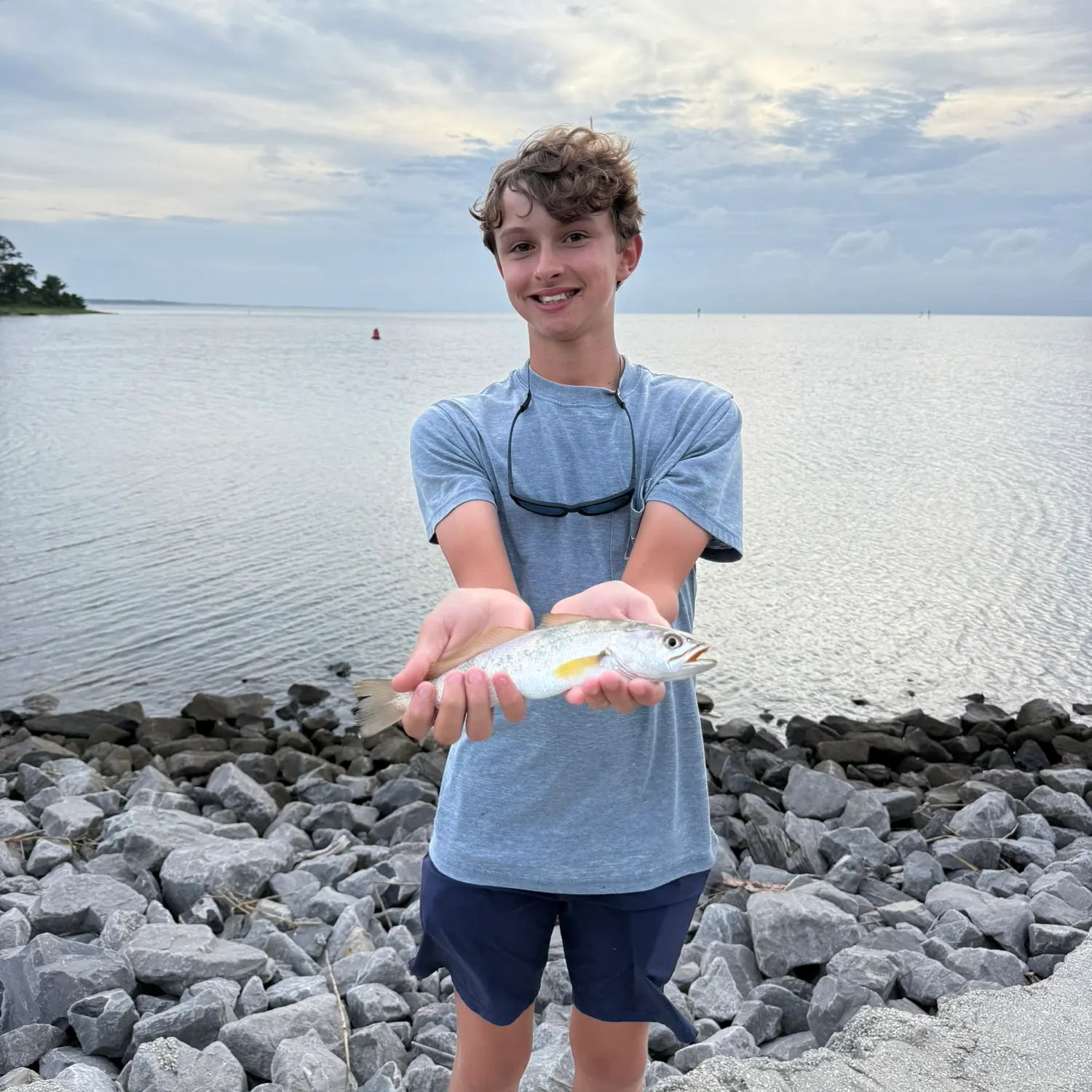 The most recent Sand seatrout catches on Fishbrain