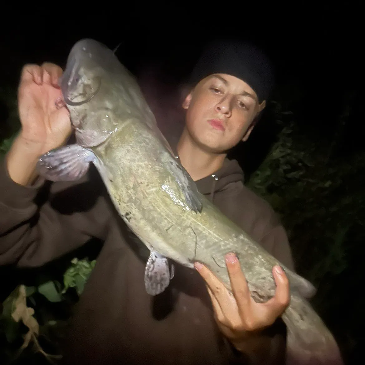 Channel catfish caught on Fishbrain