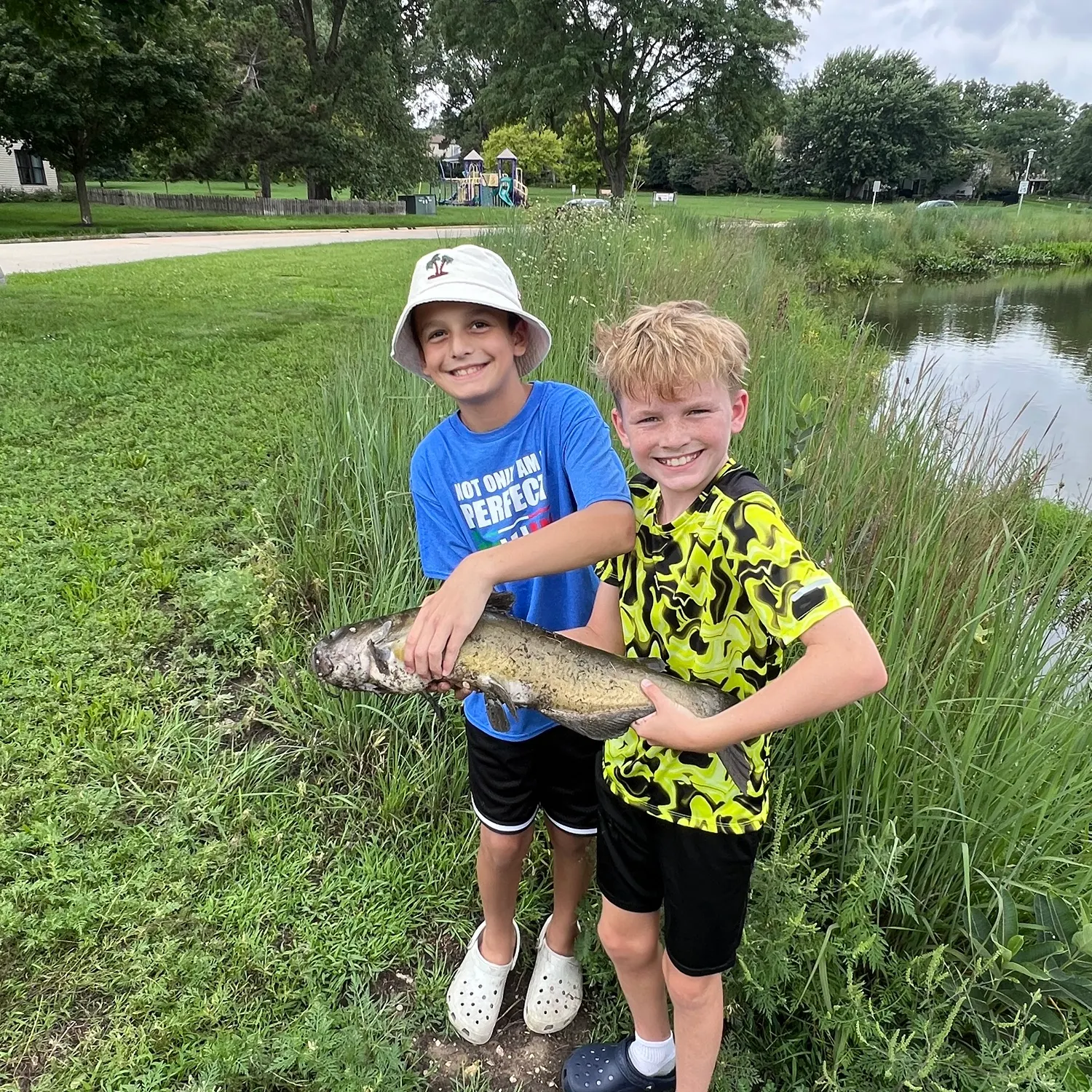Channel catfish caught on Fishbrain