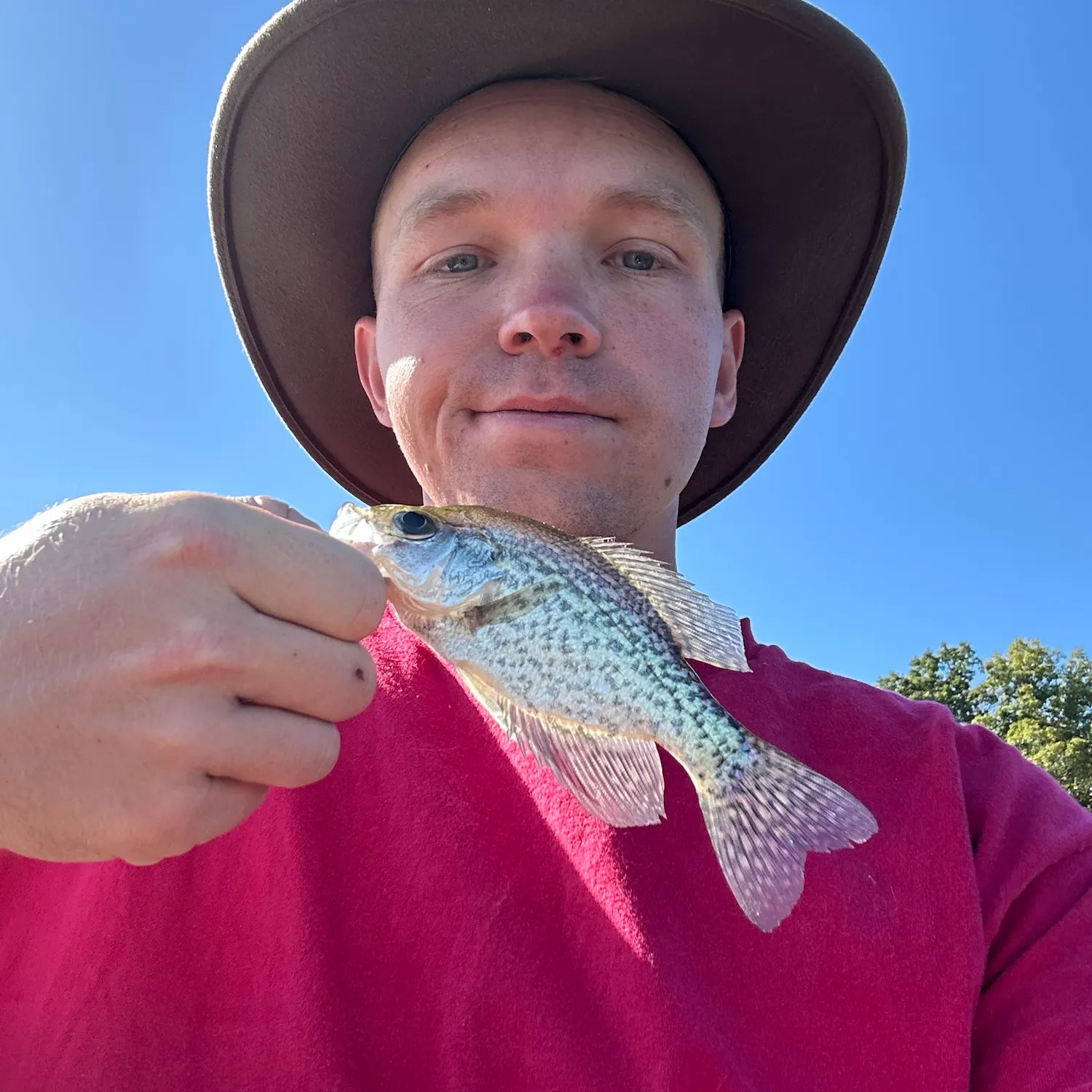 Black crappie caught on Fishbrain