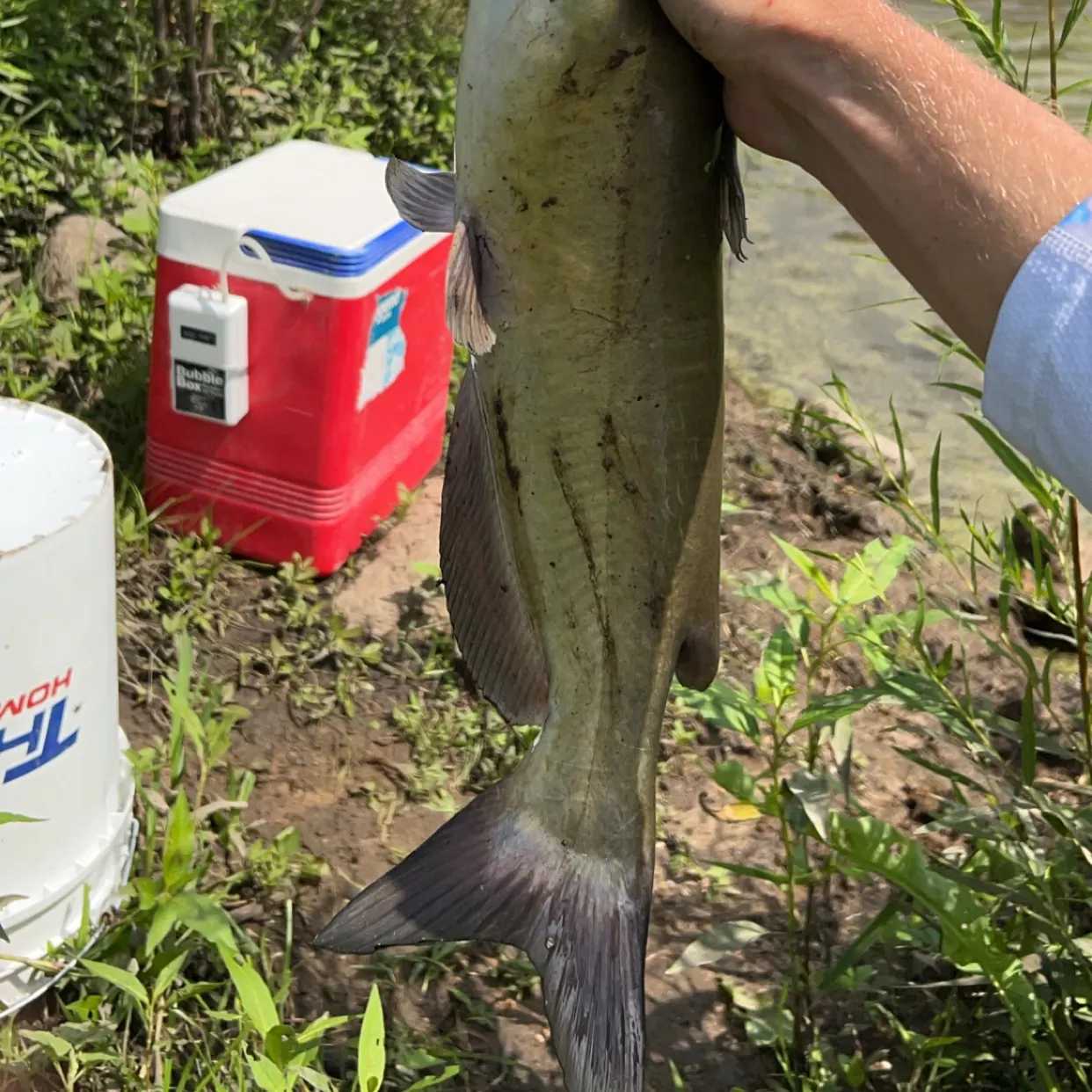 catch