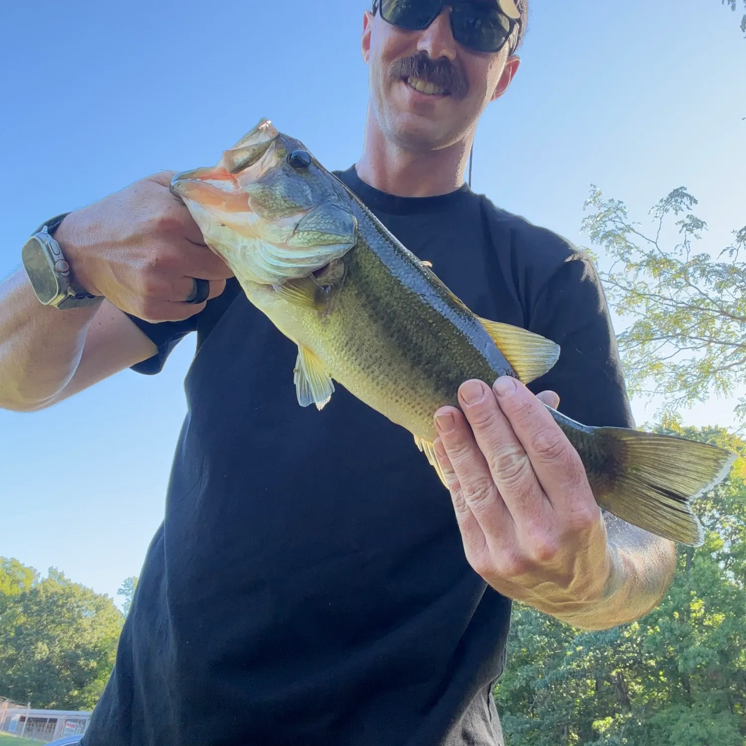 Largemouth bass caught on Fishbrain