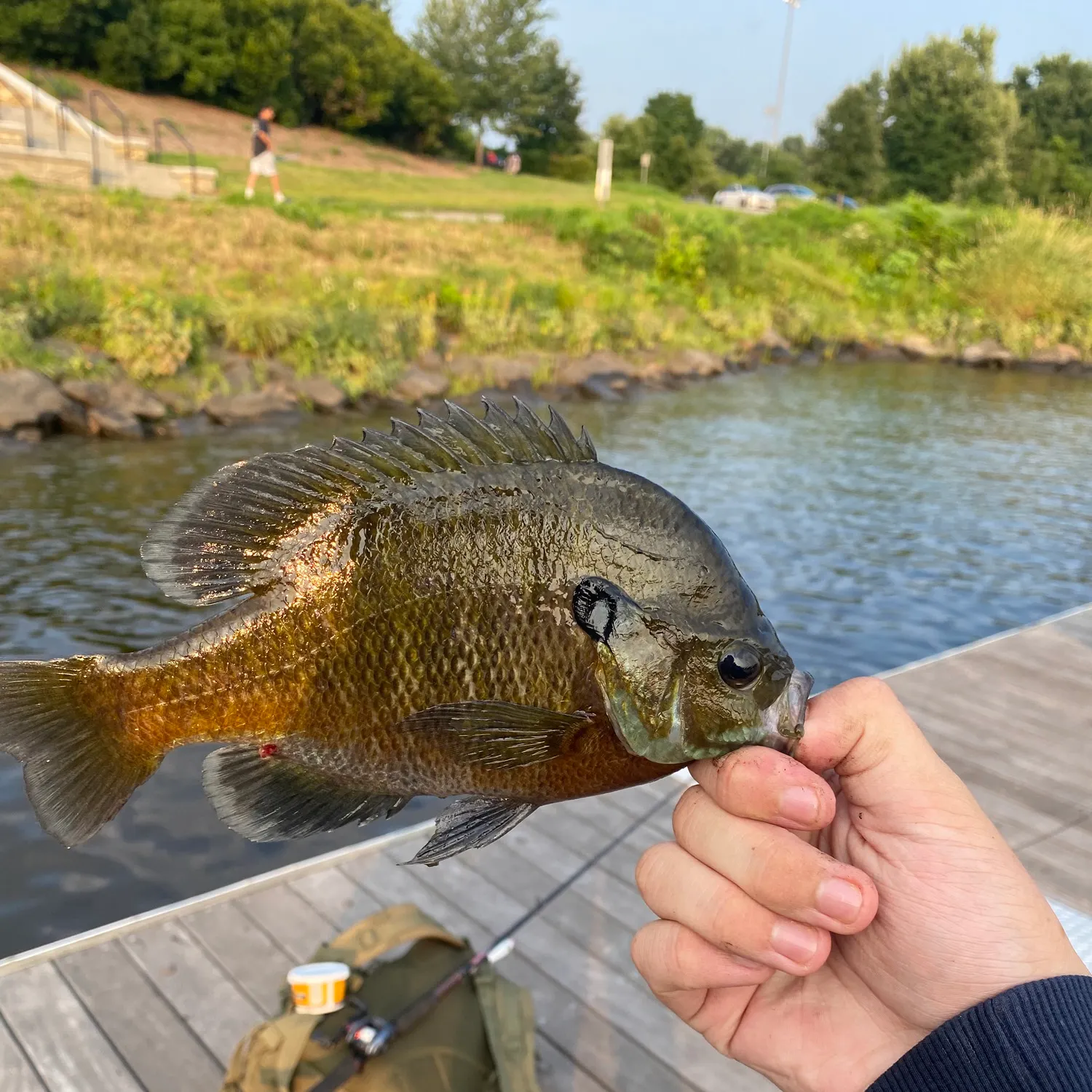 catch