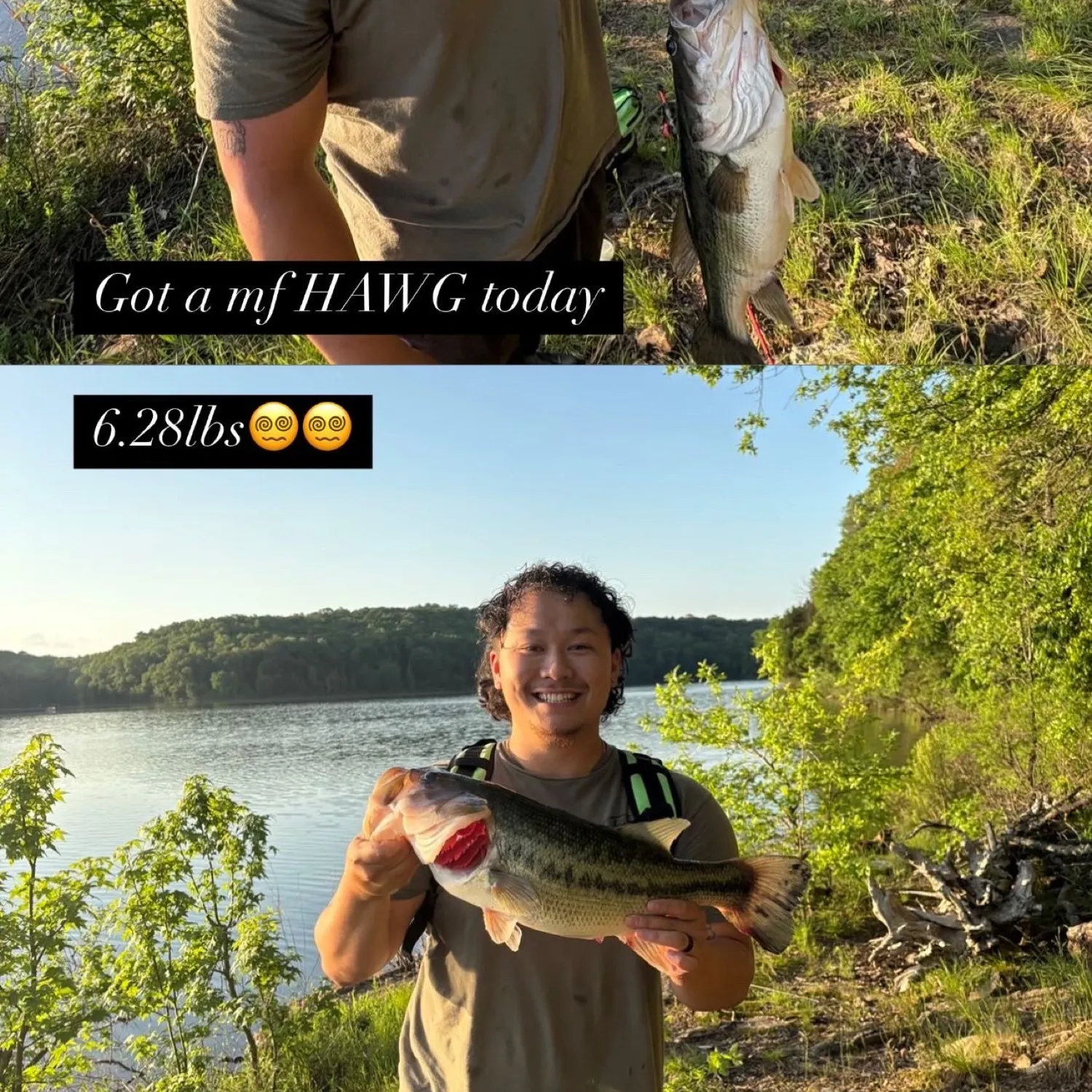 recently logged catches