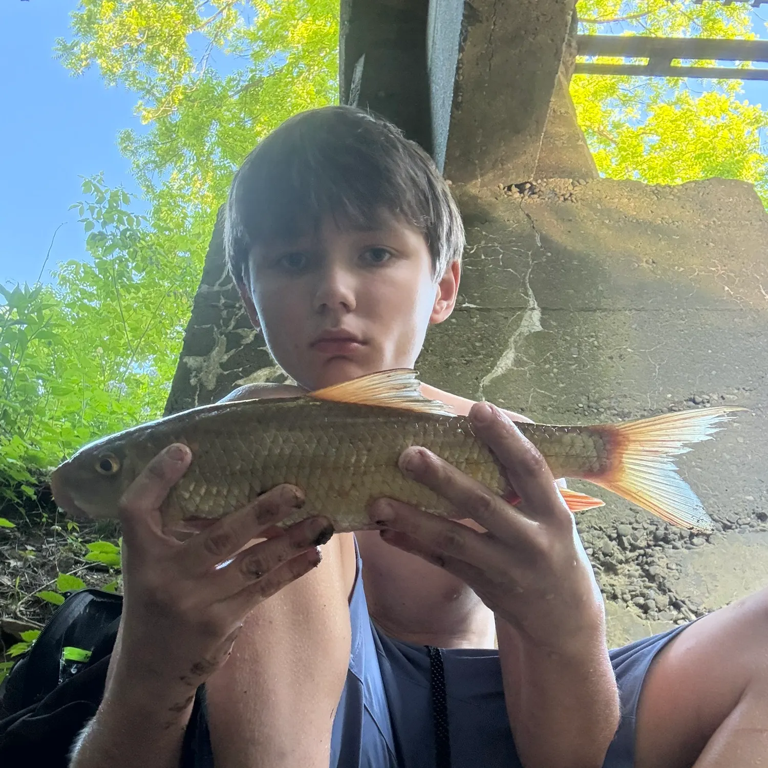 The most recent Golden redhorse catches on Fishbrain