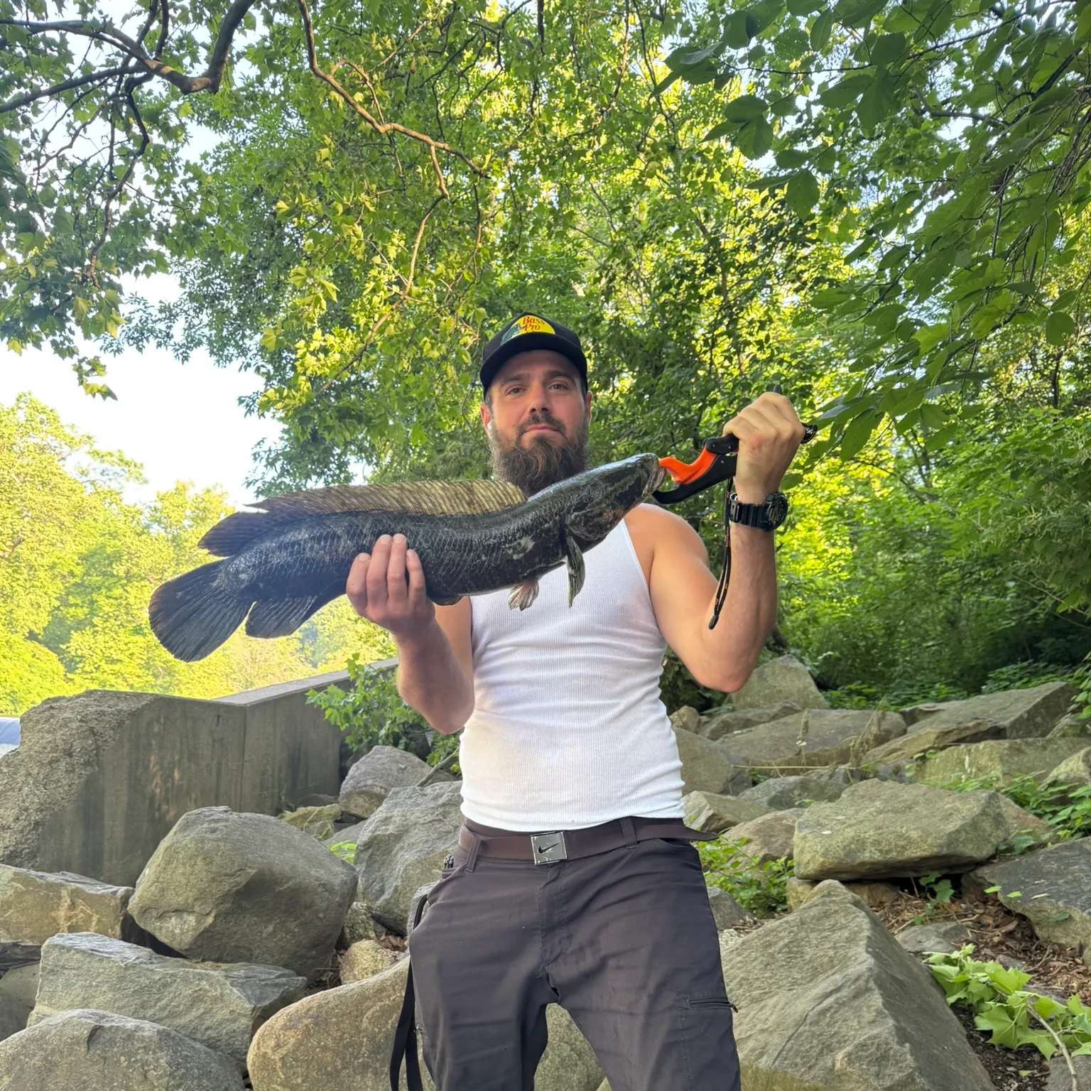 catch