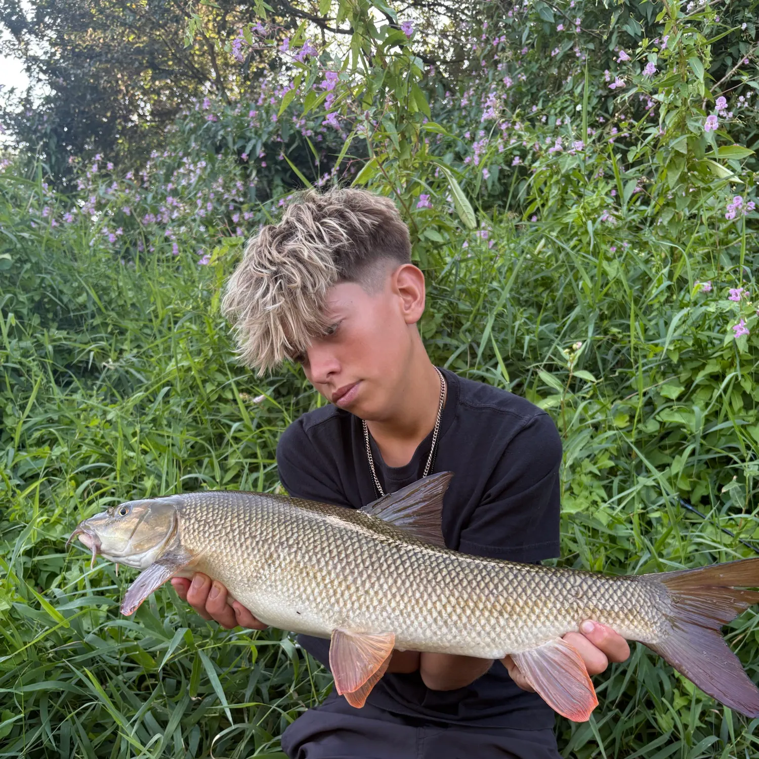 Common barbel caught on Fishbrain