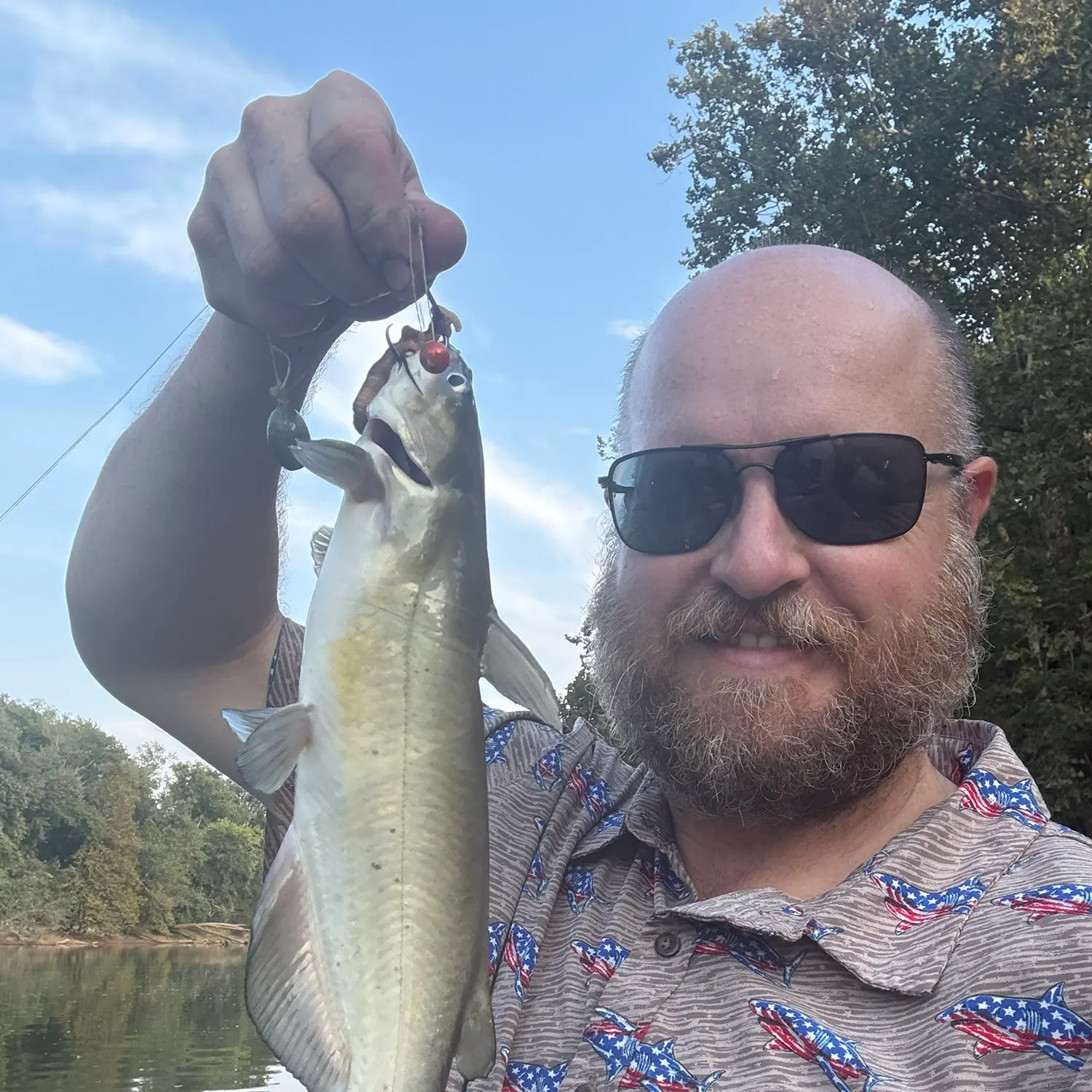 Channel catfish caught on Fishbrain