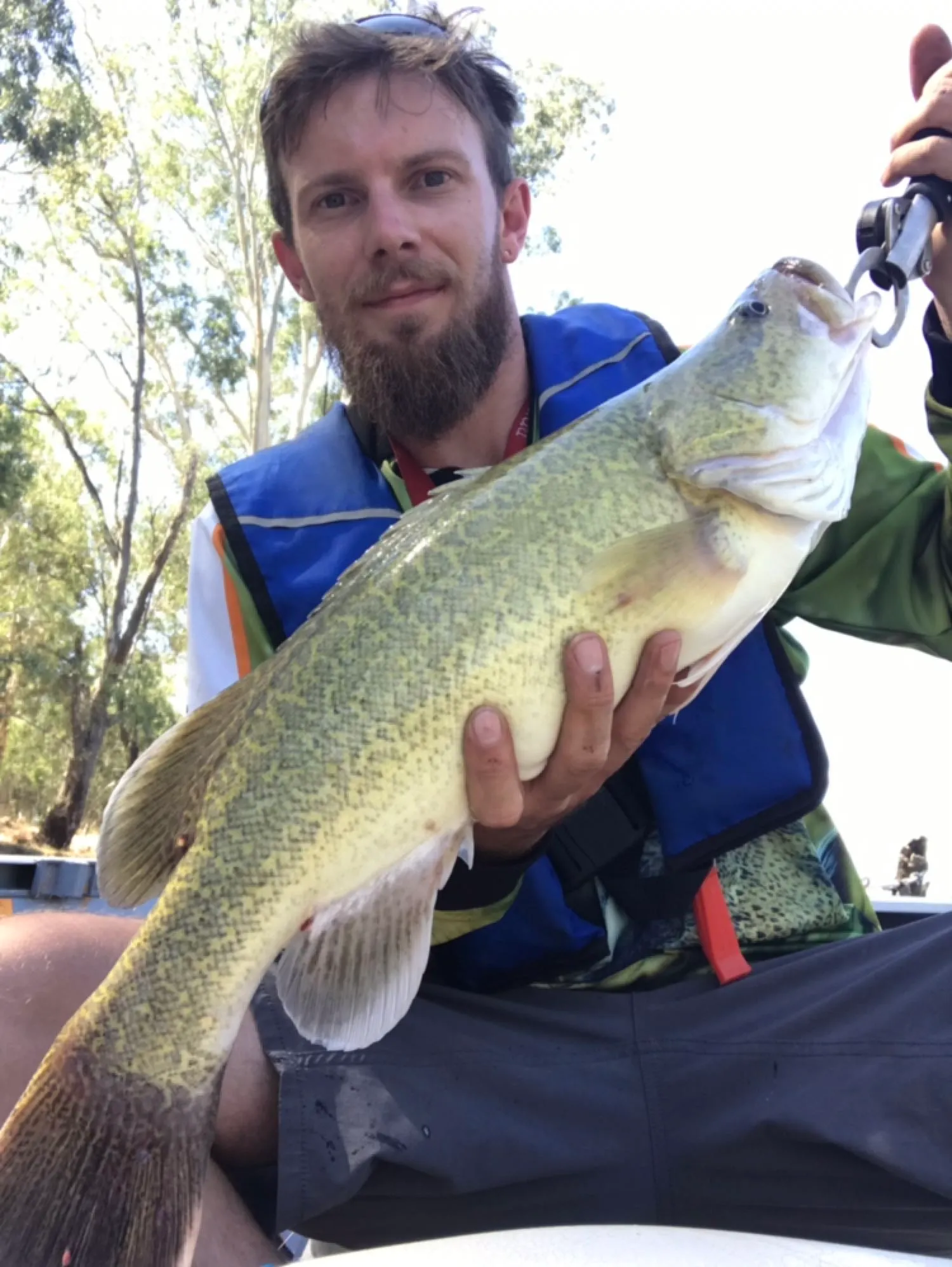 Post image from Doc-Yarrum