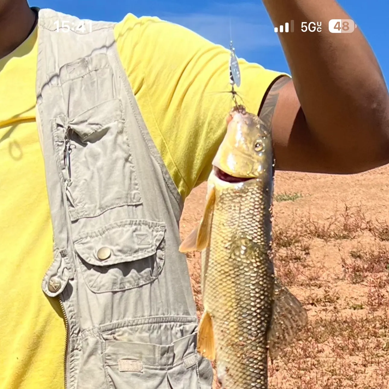 White sucker caught on Fishbrain