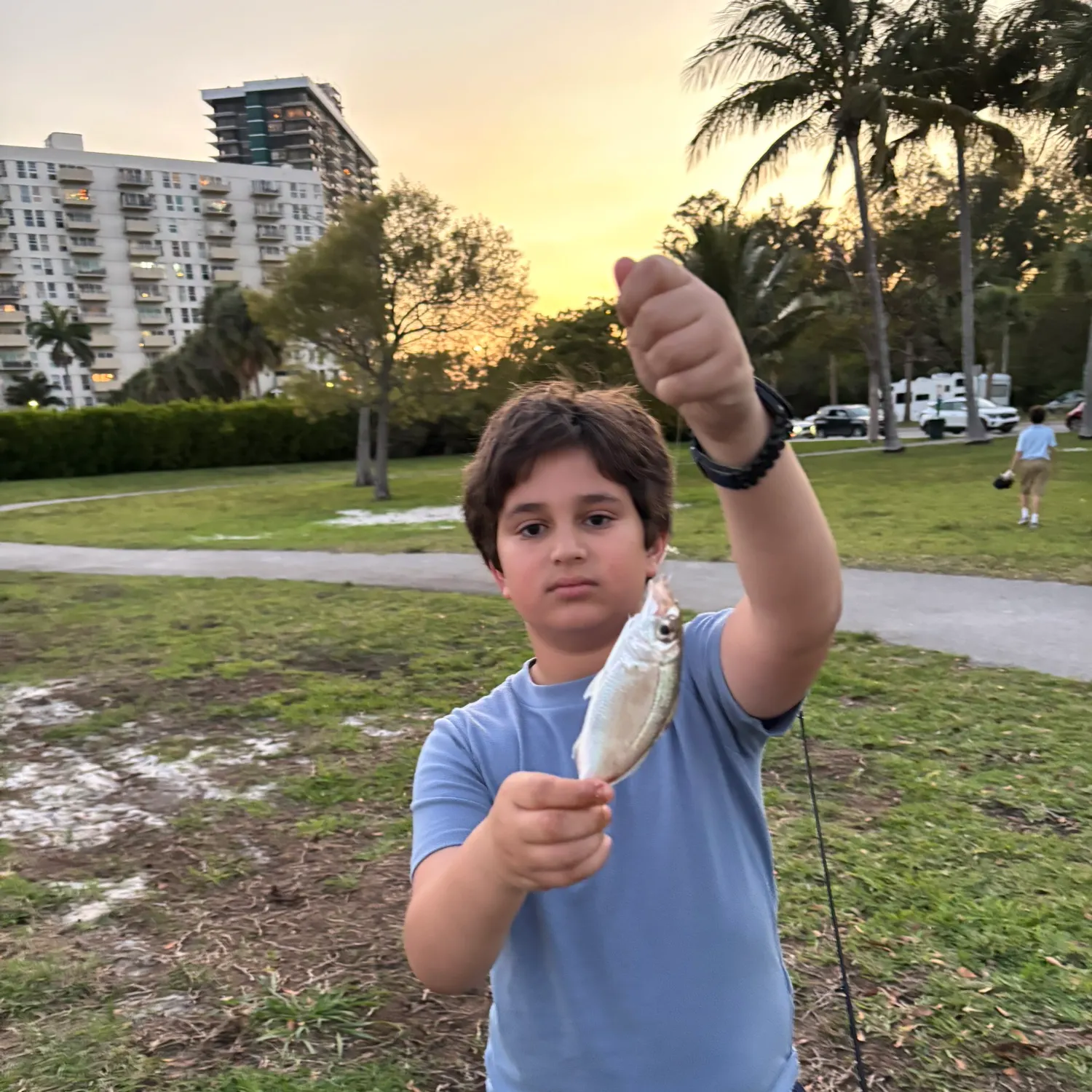most liked catch image