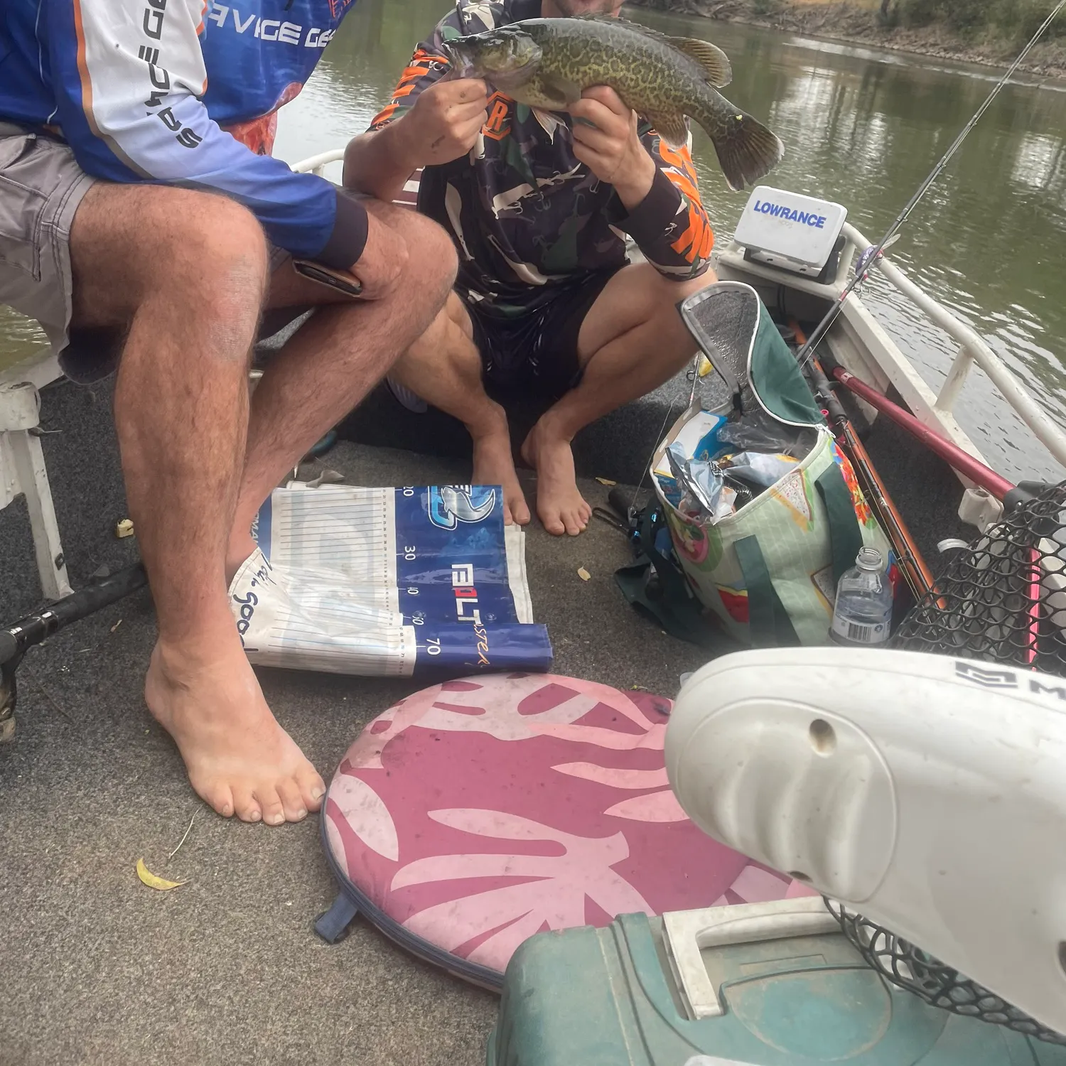 The most recent Murray cod catches on Fishbrain