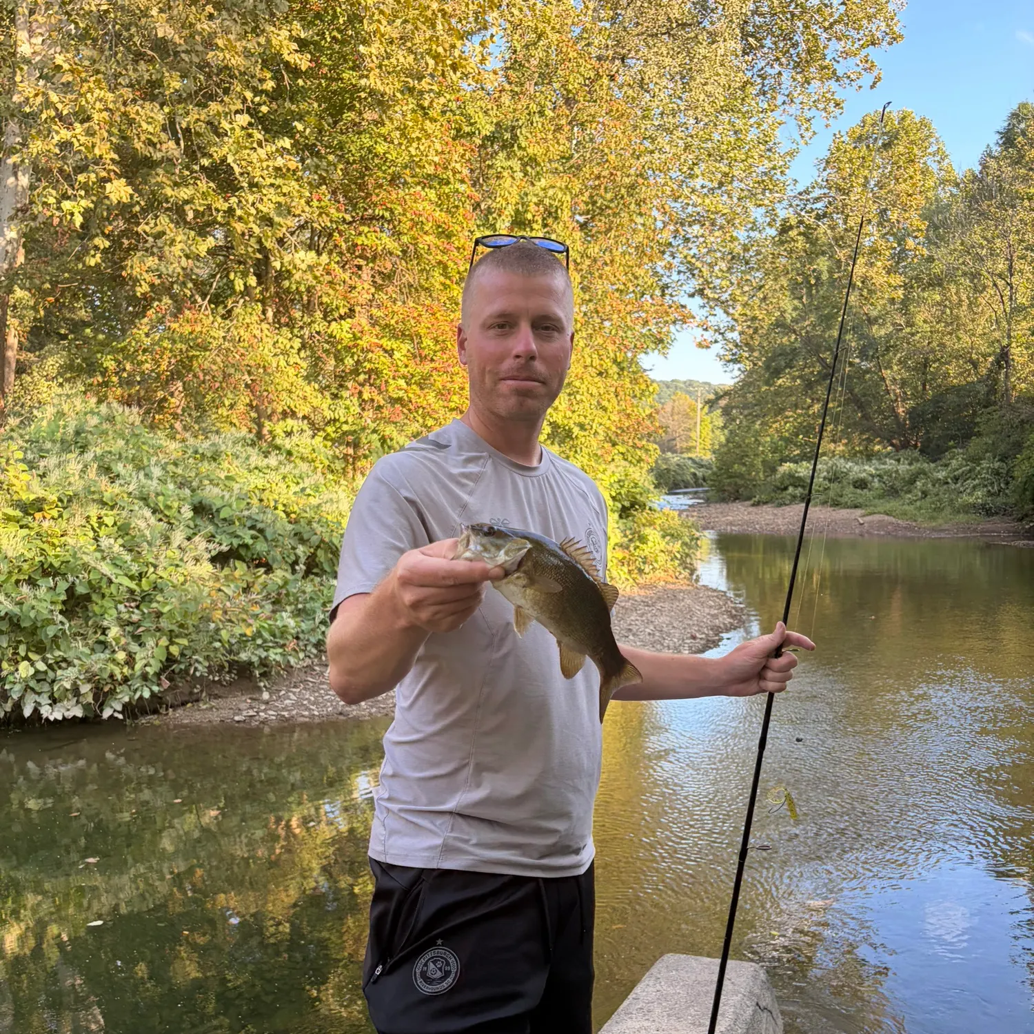 Smallmouth bass caught on Fishbrain