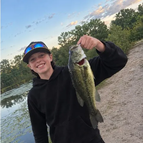 Largemouth bass caught on Fishbrain