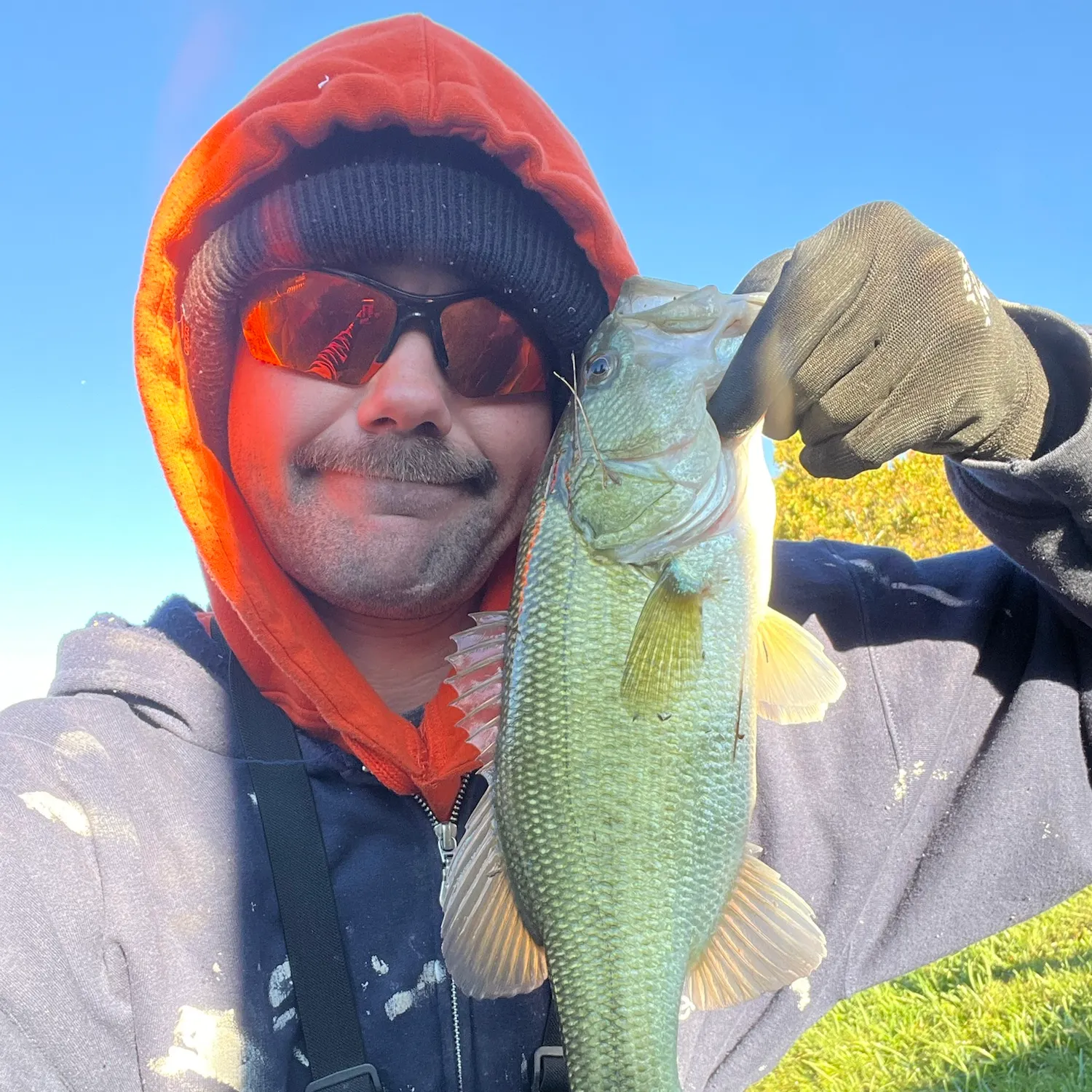 Fish caught on Fishbrain
