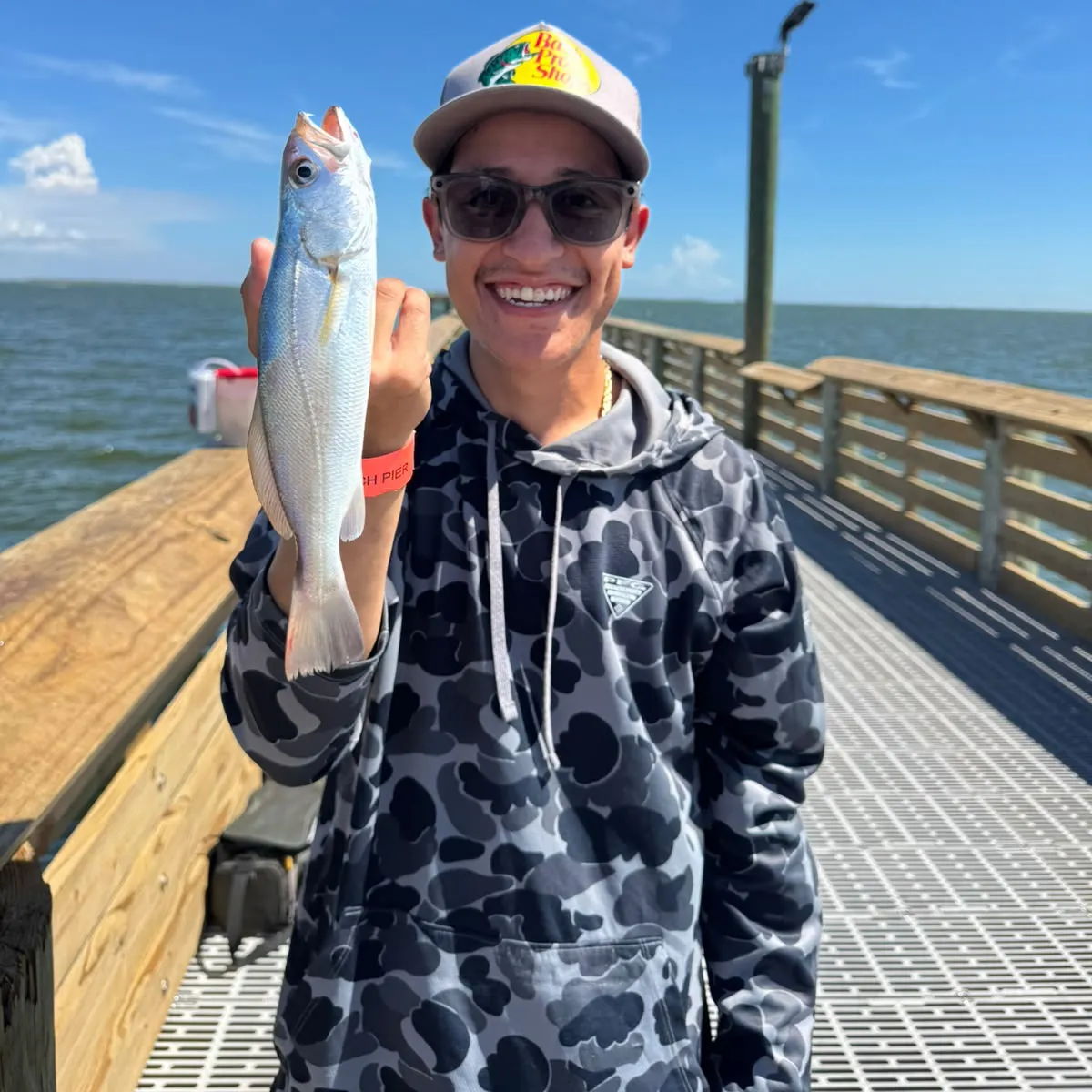 The most recent Sand seatrout catches on Fishbrain