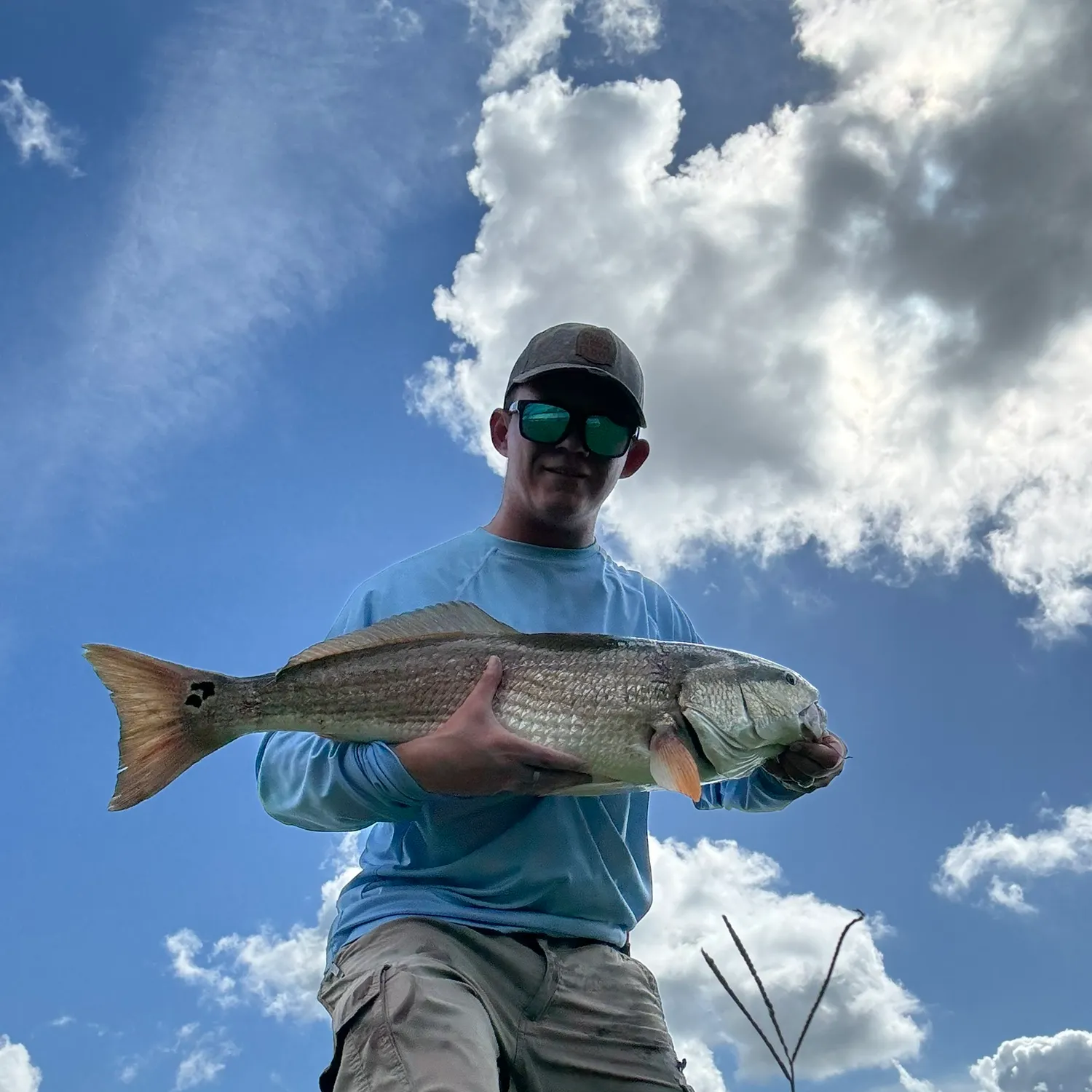 Red drum caught on Fishbrain