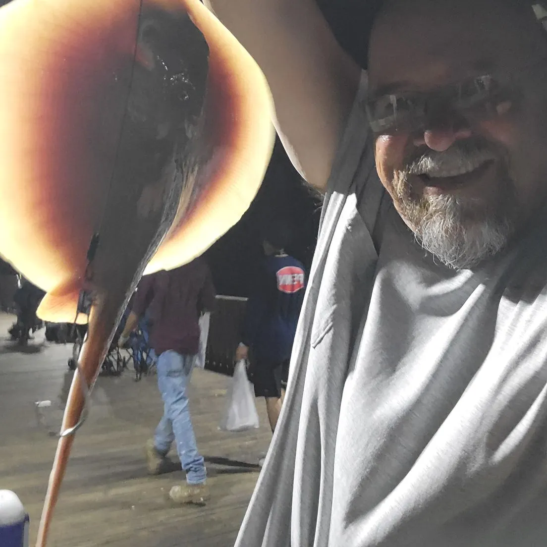 The most recent Common stingray catches on Fishbrain