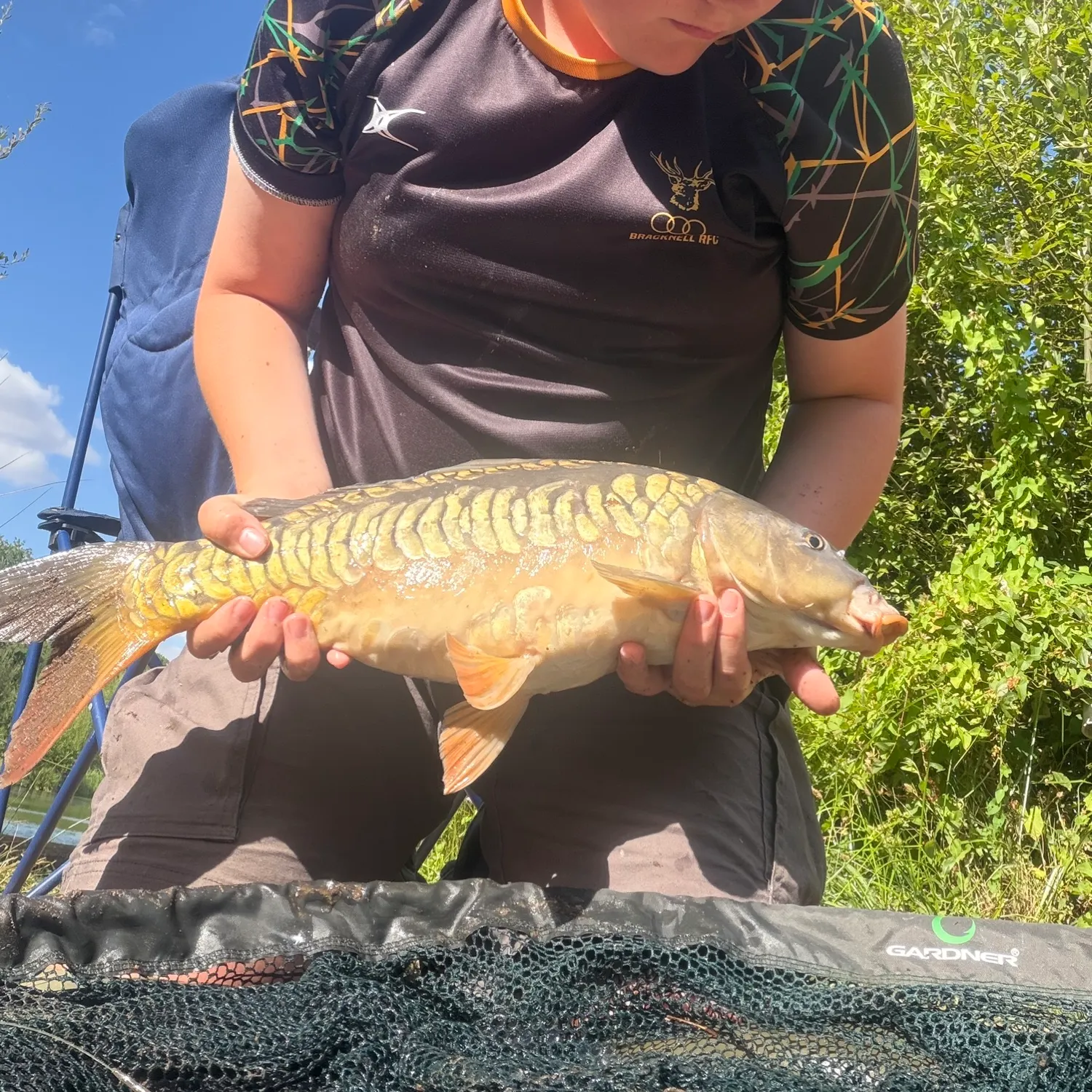 Mirror carp caught on Fishbrain