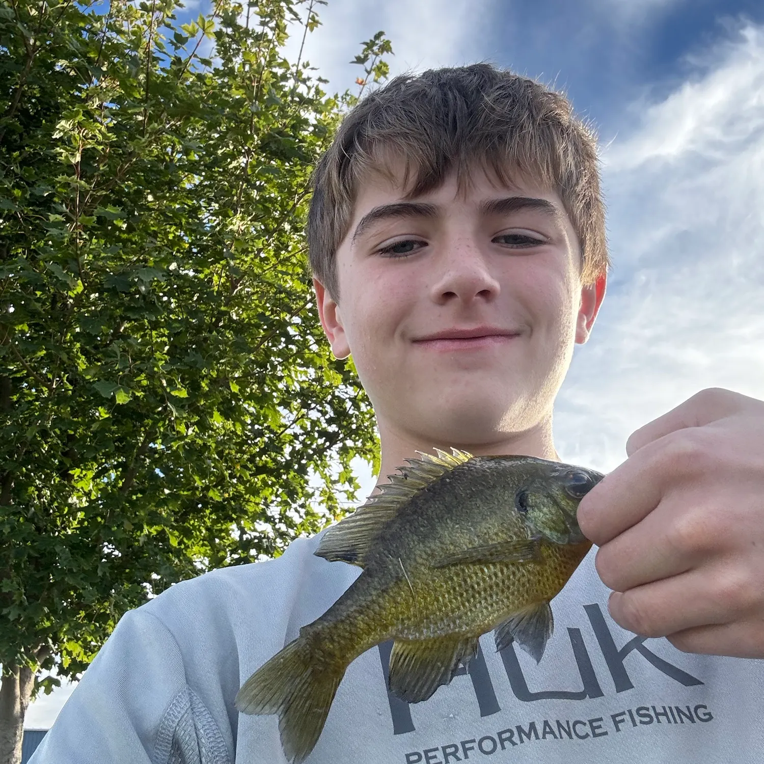 Bluegill caught on Fishbrain