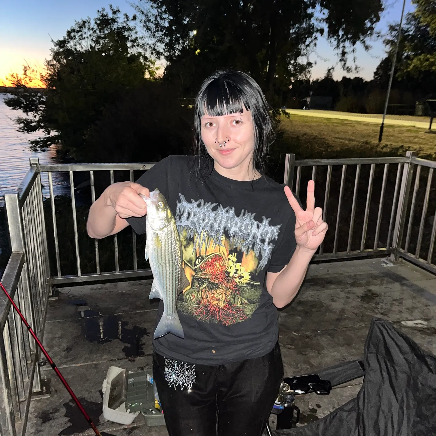 Striped bass caught on Fishbrain