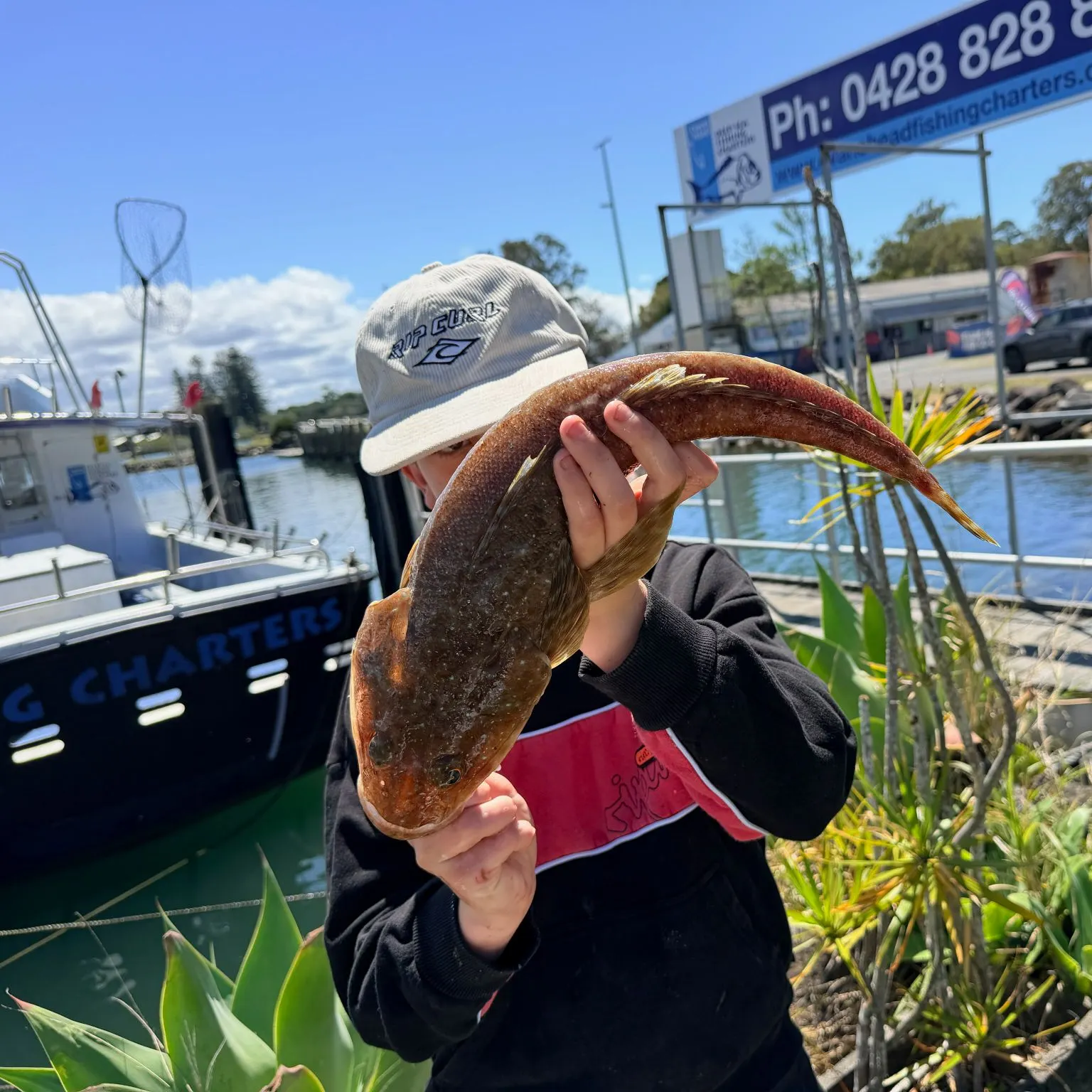 The most recent Blue-spotted flathead catches on Fishbrain