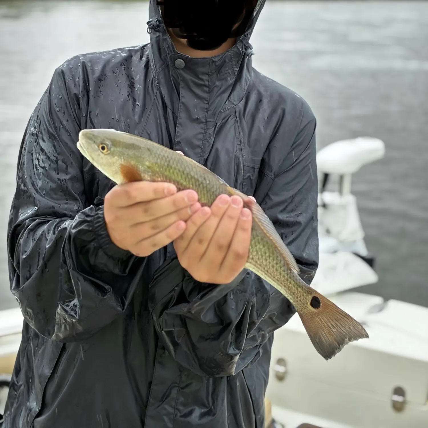 Red drum caught on Fishbrain
