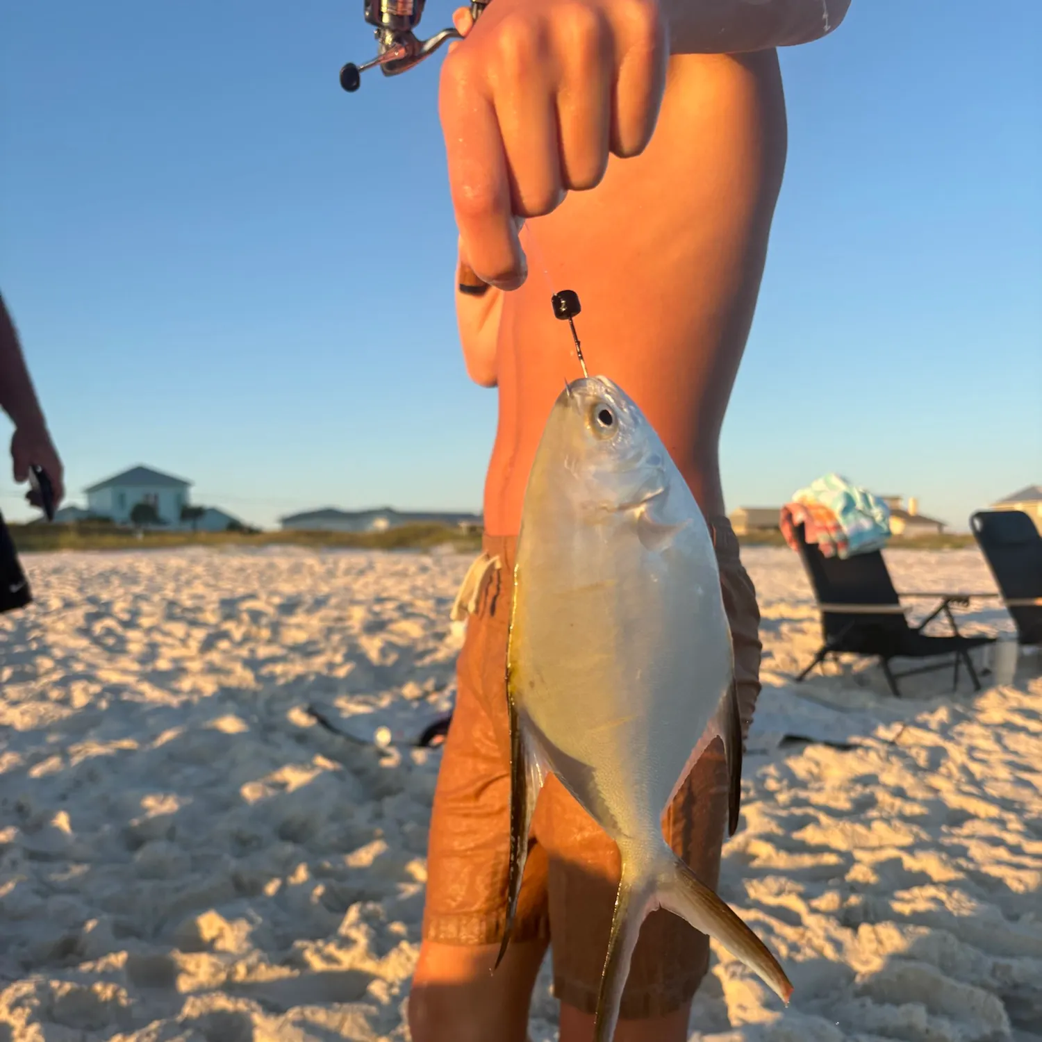 Palometa caught on Fishbrain