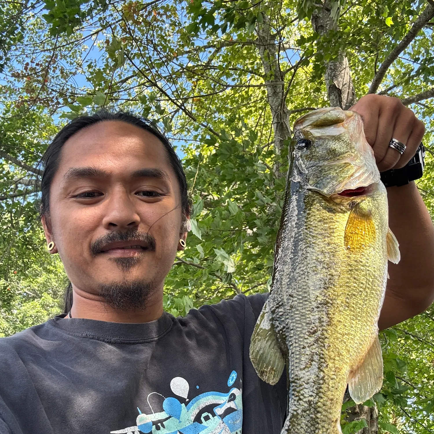 Largemouth bass caught on Fishbrain