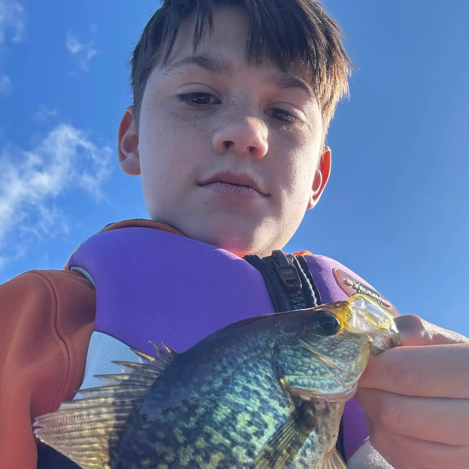 Black crappie caught on Fishbrain