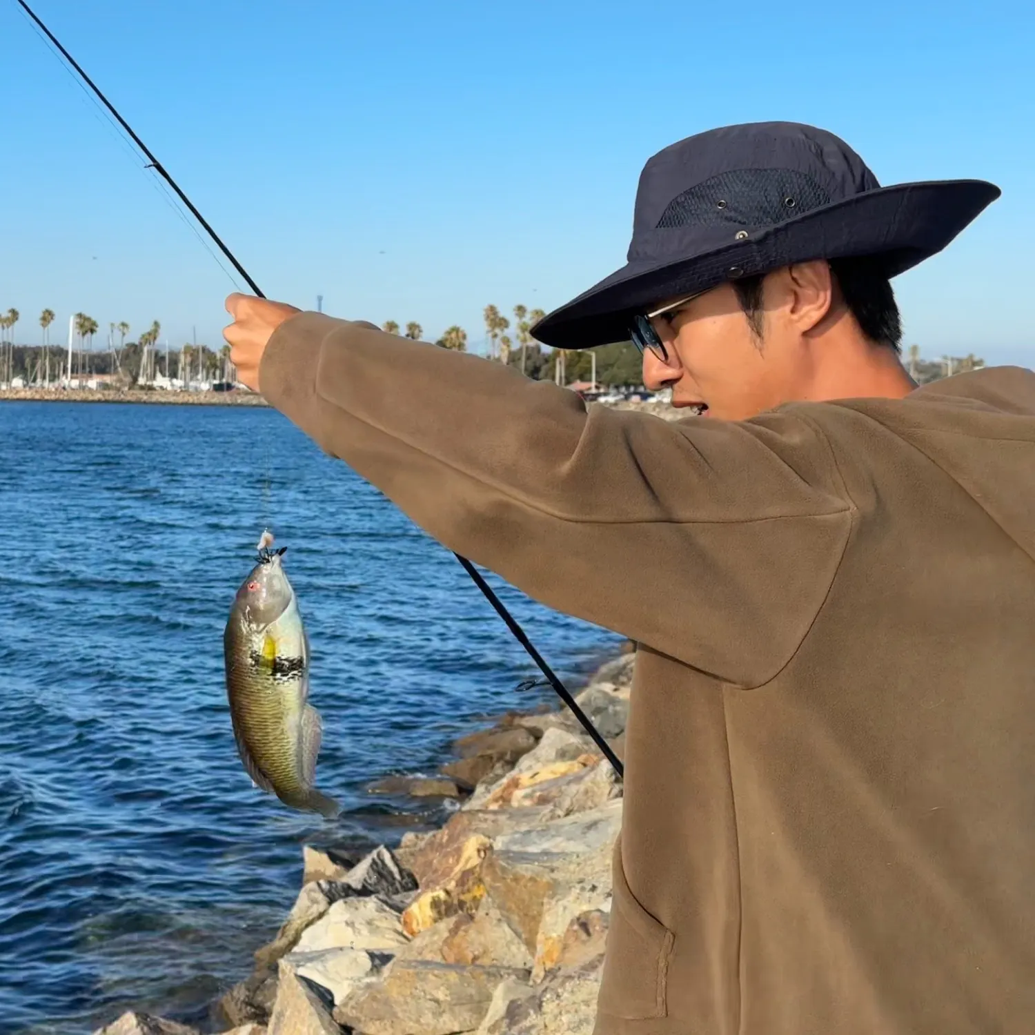 recently logged catches