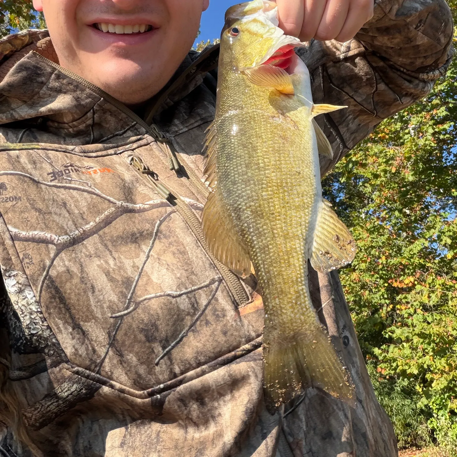 Smallmouth bass caught on Fishbrain