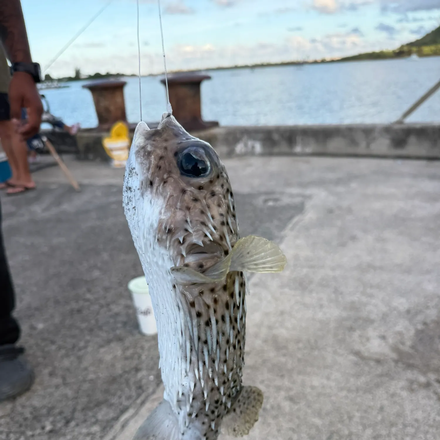 catch