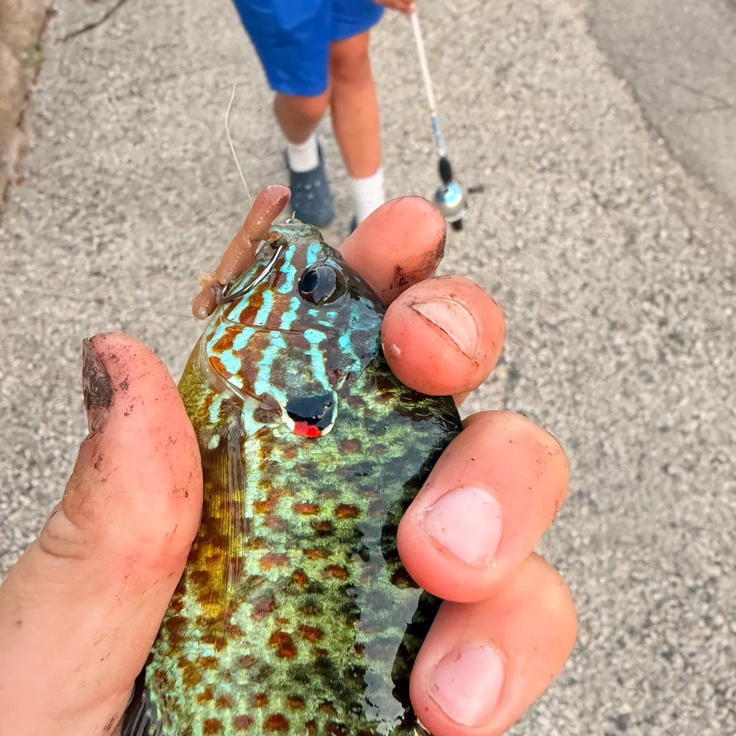 catch